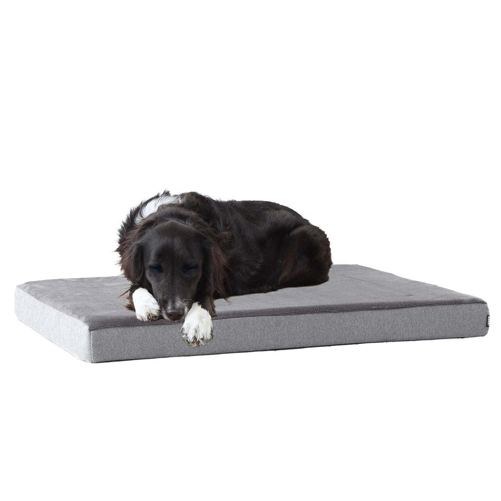 Lit orthopédique BarkBox – vue générale avec mousse mémoire et soutien.