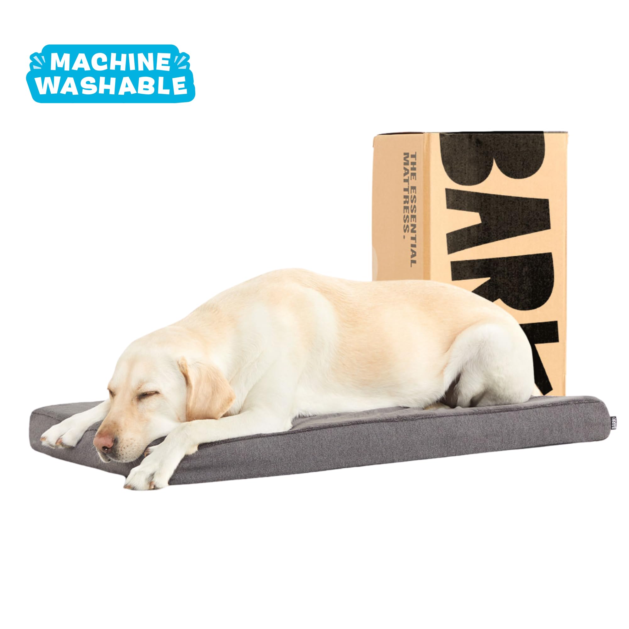 Soutien des articulations BarkBox – mousse mémoire et confort durable.