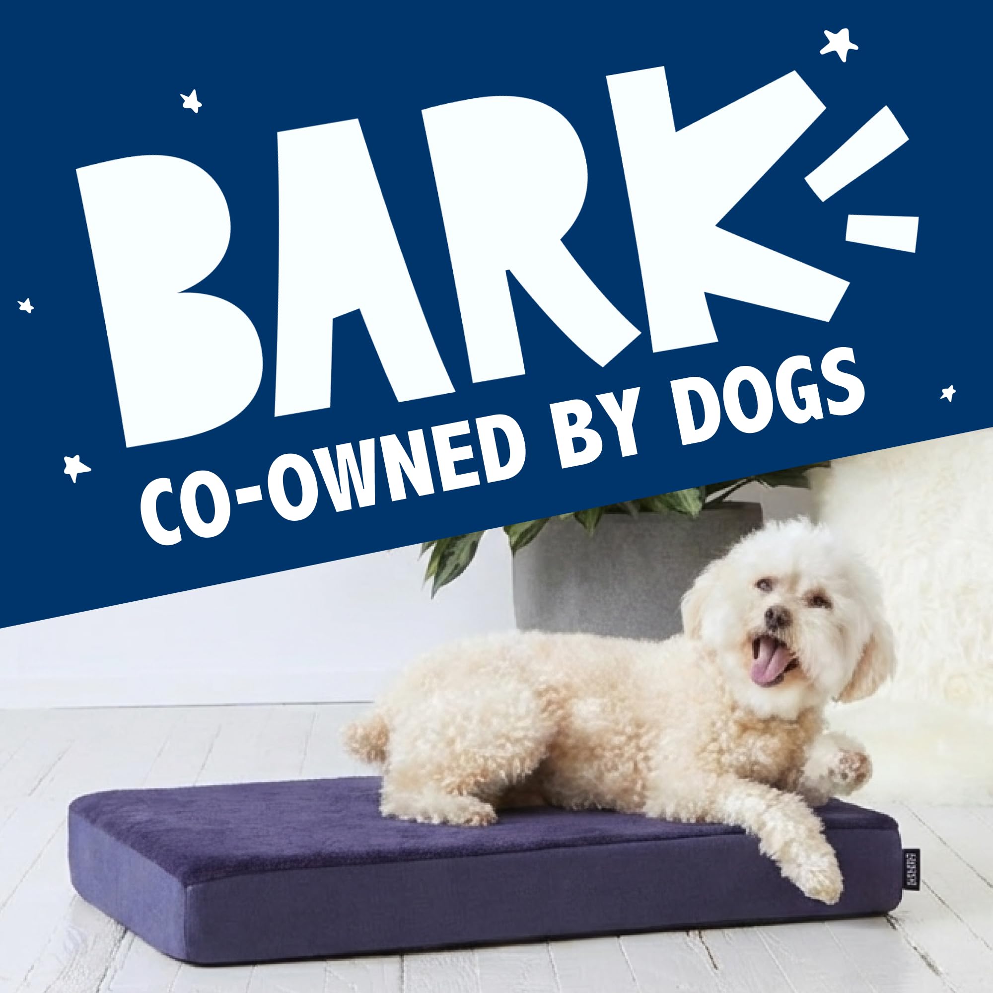 Matériaux durables Barkbox, conception résistante pour chiens actifs et chiots.