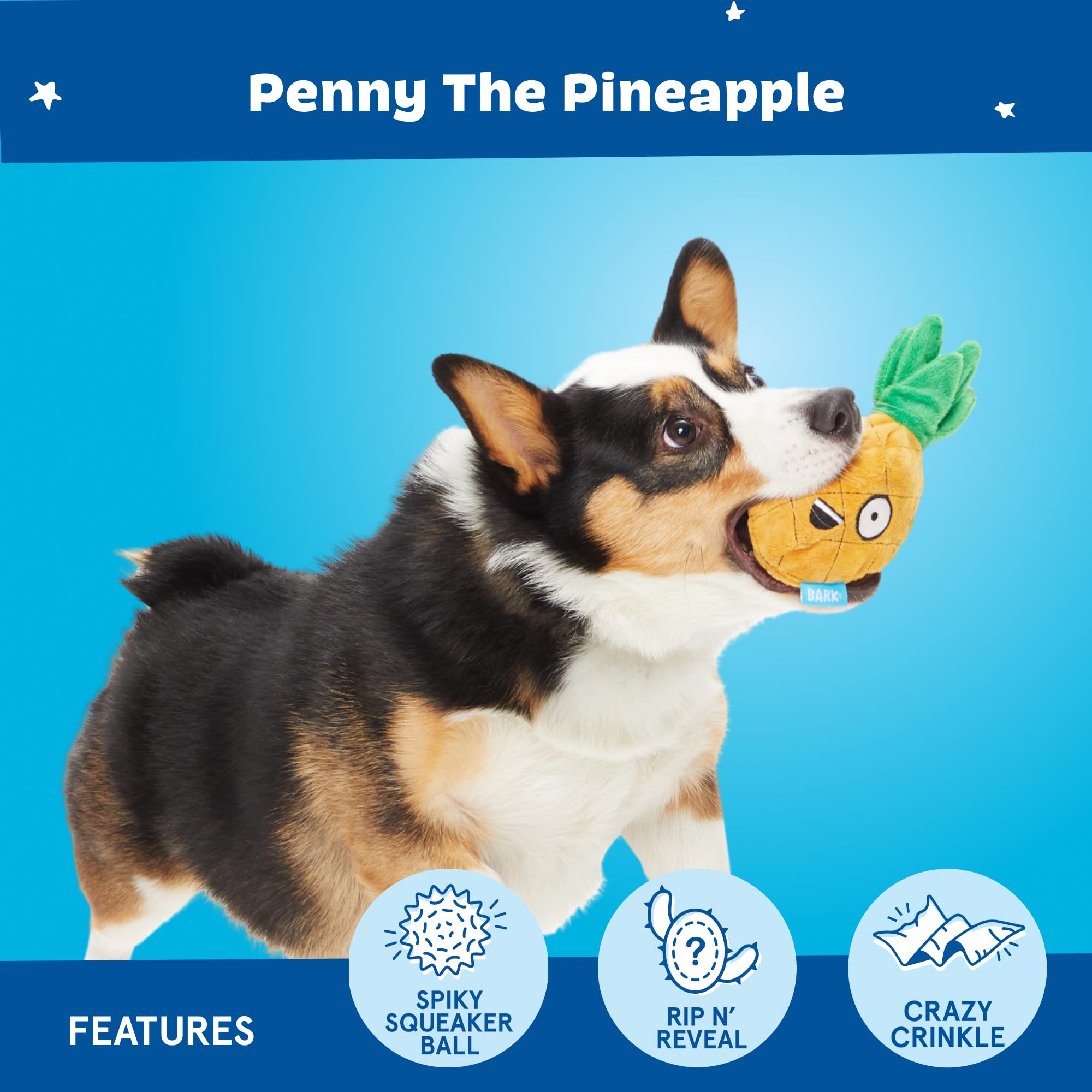BarkBox matière crinkle, stimulation sensorielle et amusement durable