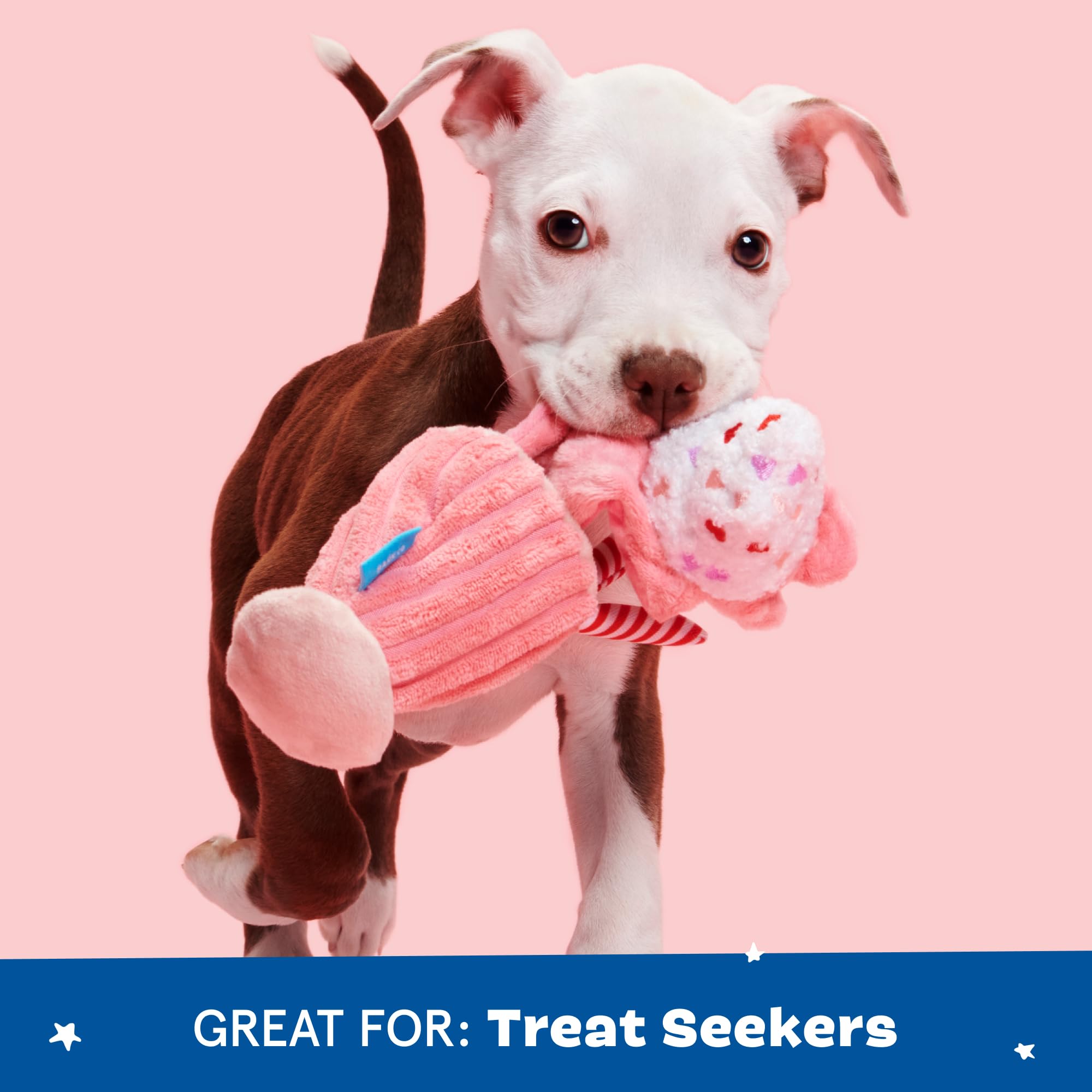 Idéal pour chiens petits et chiots BarkBox Milkshake, léger et maniable.