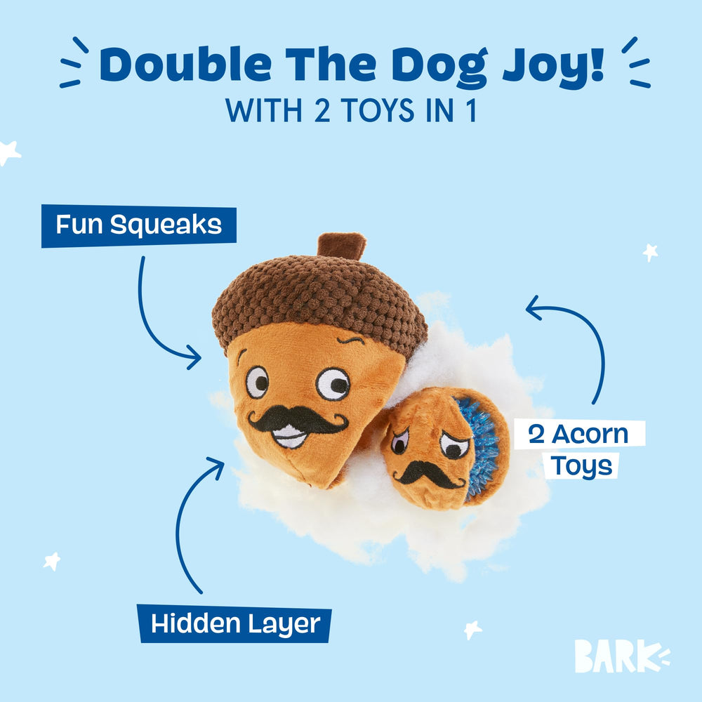 Barkbox Monsieur Acorn, balle épineuse qui crisse, stimulation auditive pour chien.