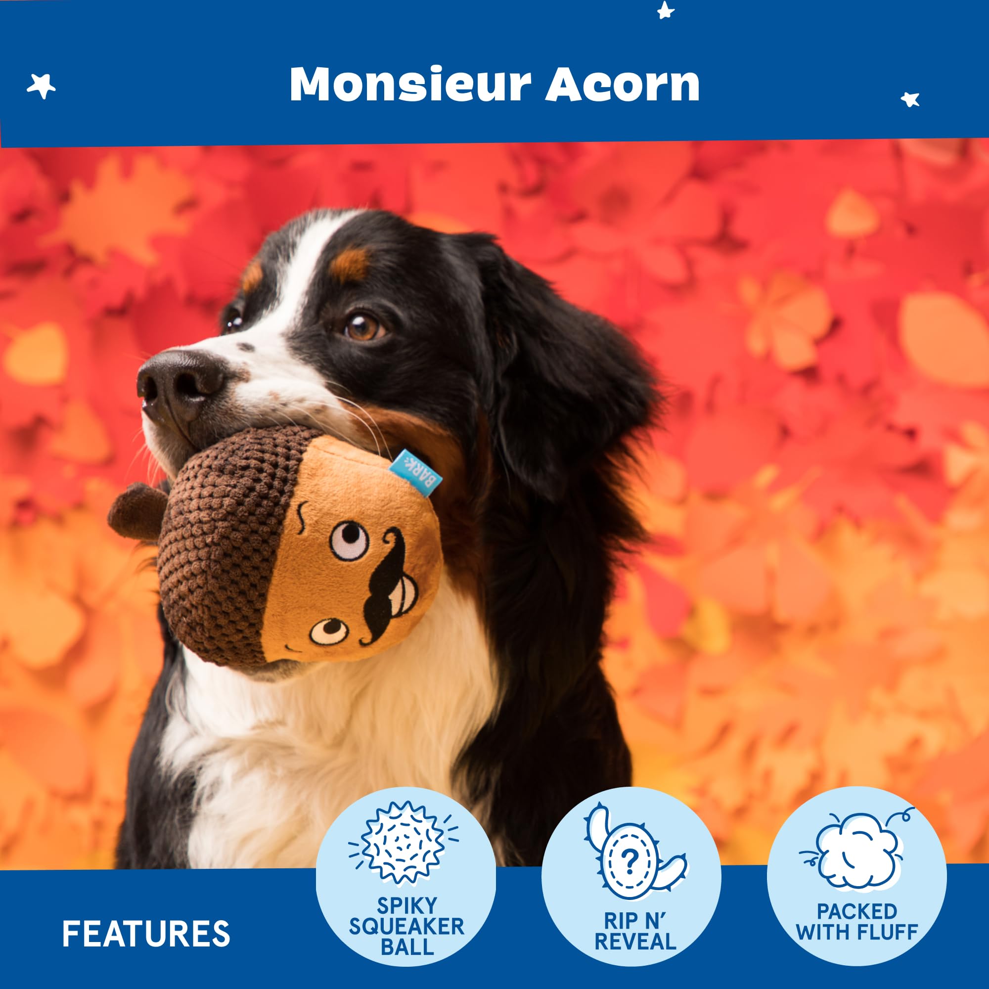Barkbox Monsieur Acorn, matériau texture stimulant la curiosité et l'activité.