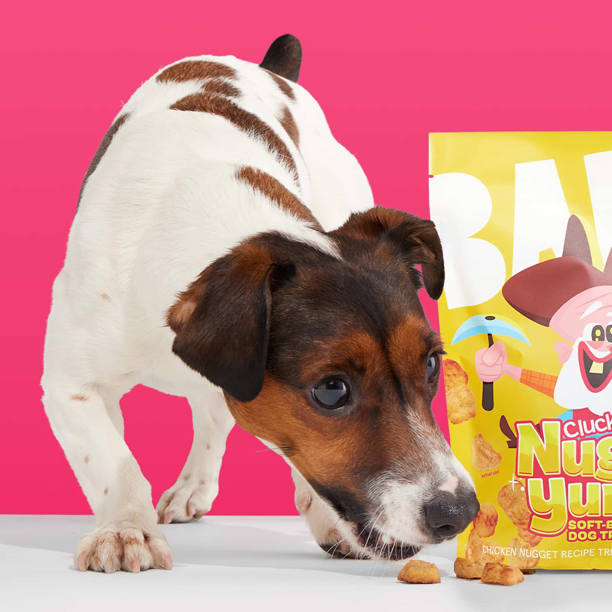 Ingrédients riches protéines Barkbox Nuggy Yumz sans maïs ni soja