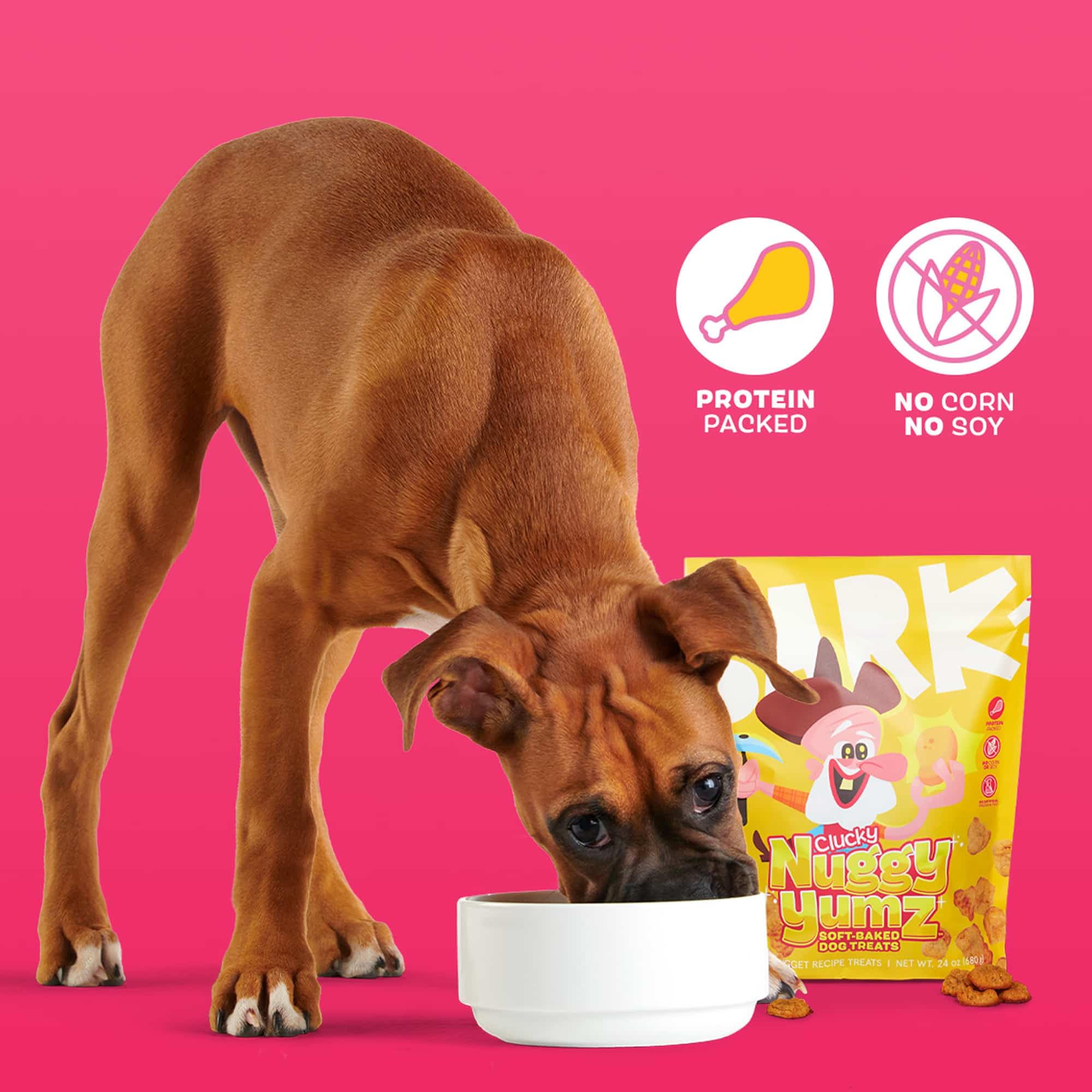 Récompense idéale pour entraînement Barkbox Nuggy Yumz
