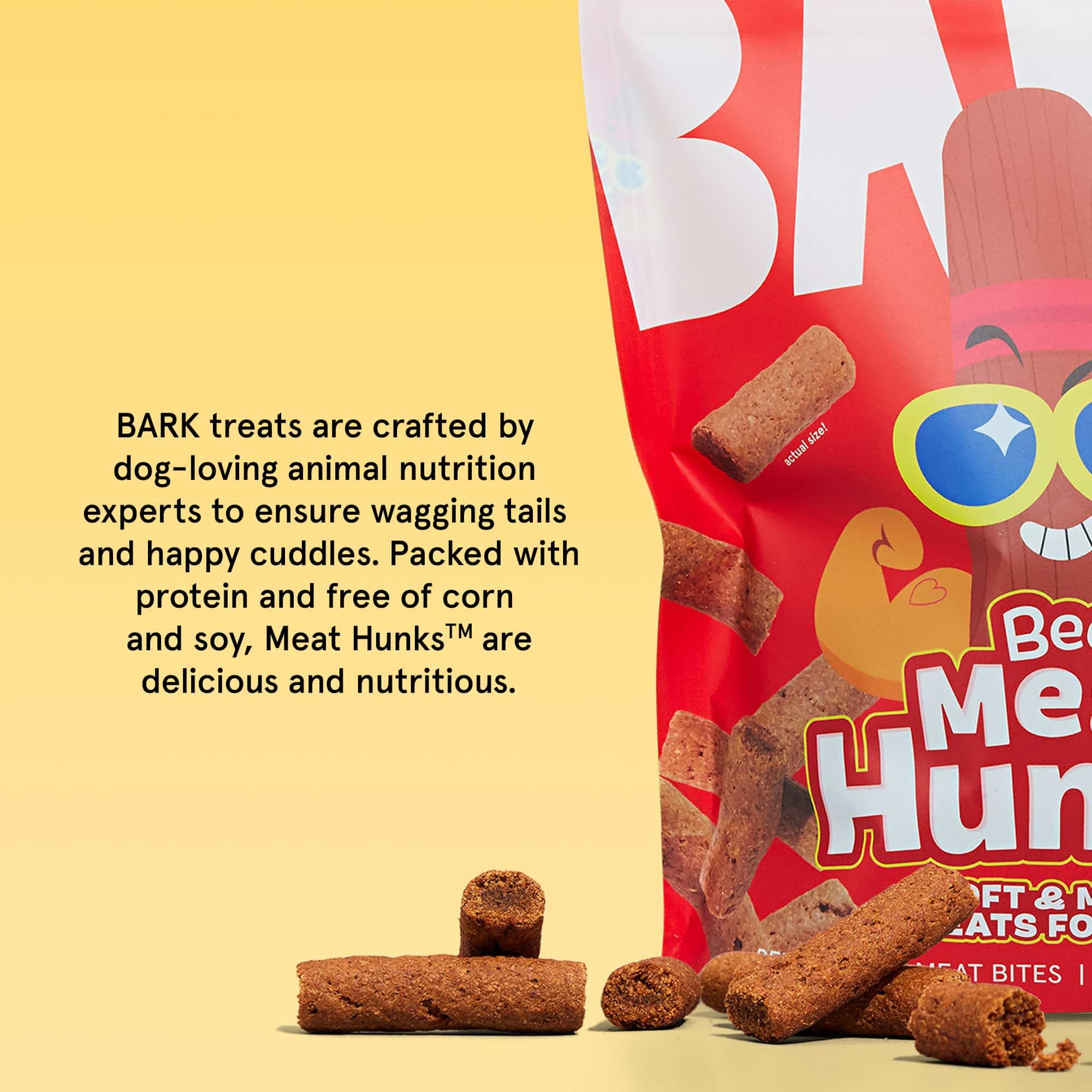Barkbox nutrition équilibrée au boeuf pour une collation pratique.