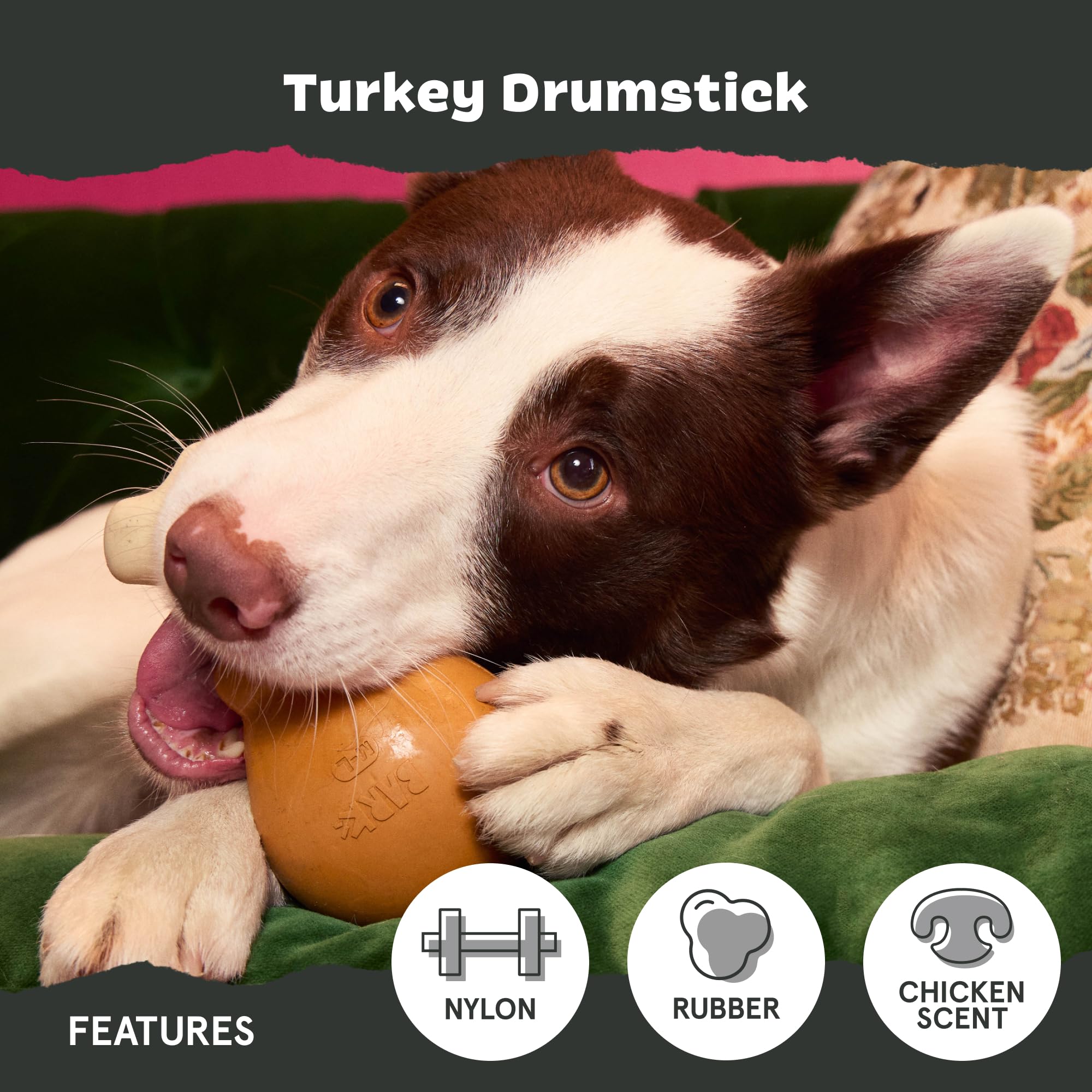 Parfum dinde appétissant attire le chien pendant le jeu.