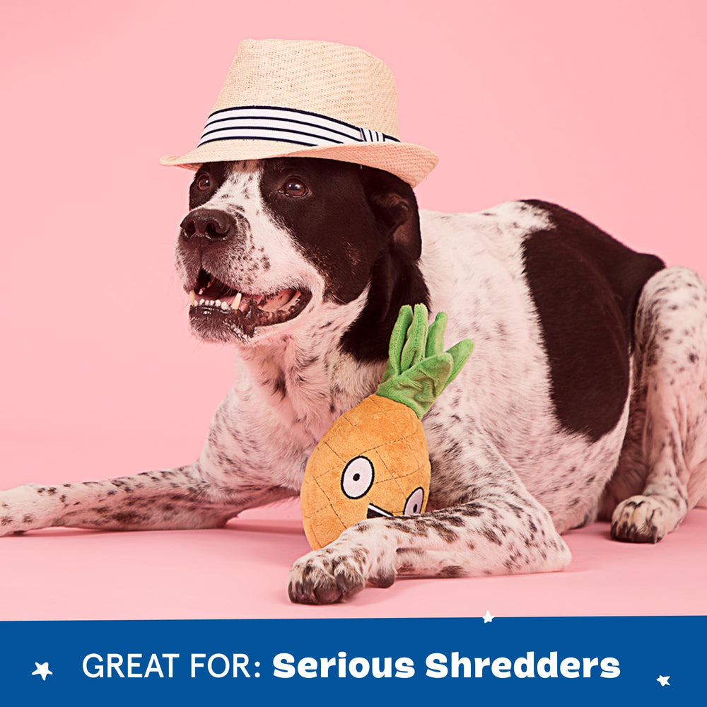 Barkbox Penny Ananas – idéal pour chiens de grande taille et chiots énergiques.