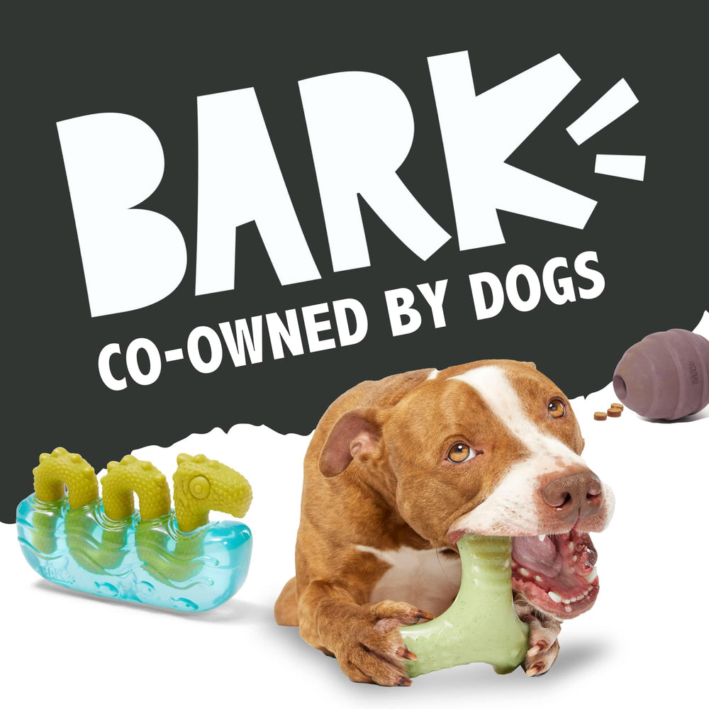 Parfait pour petits chiens, sûr et durable pour sessions répétées.