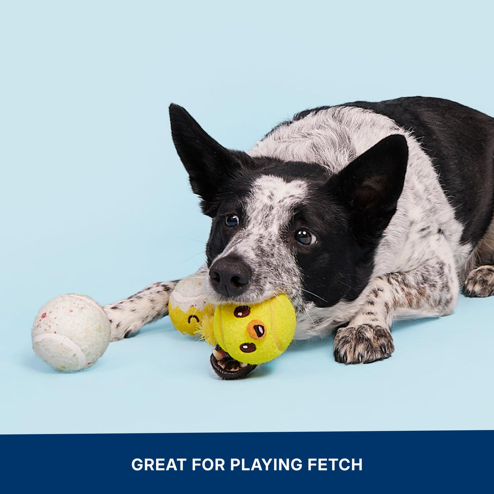 Barkbox Play Hatch: douceur adaptée aux petites gueules, tout en résistance.