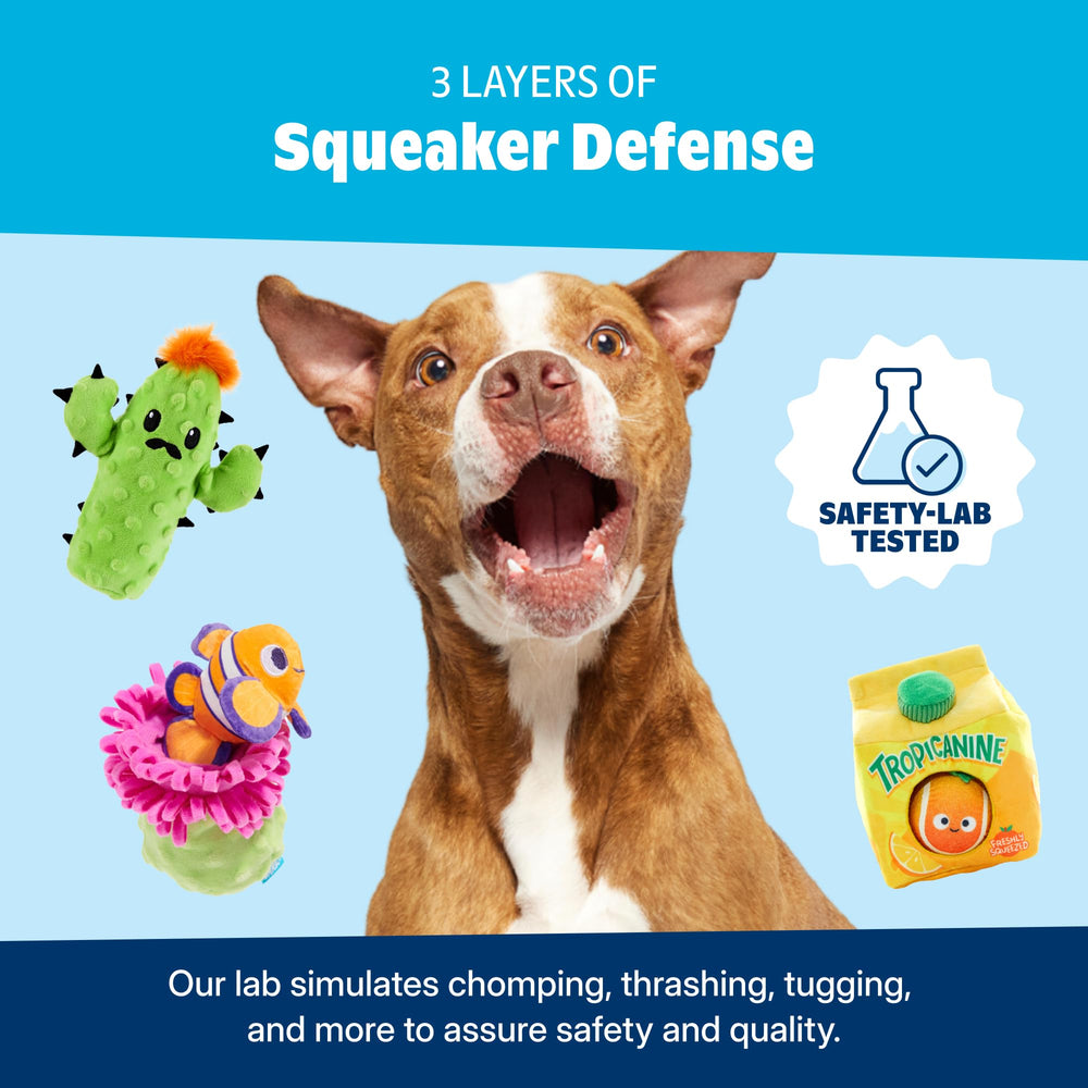 Barkbox Play Hatch: emballage trio pratique pour le rangement.