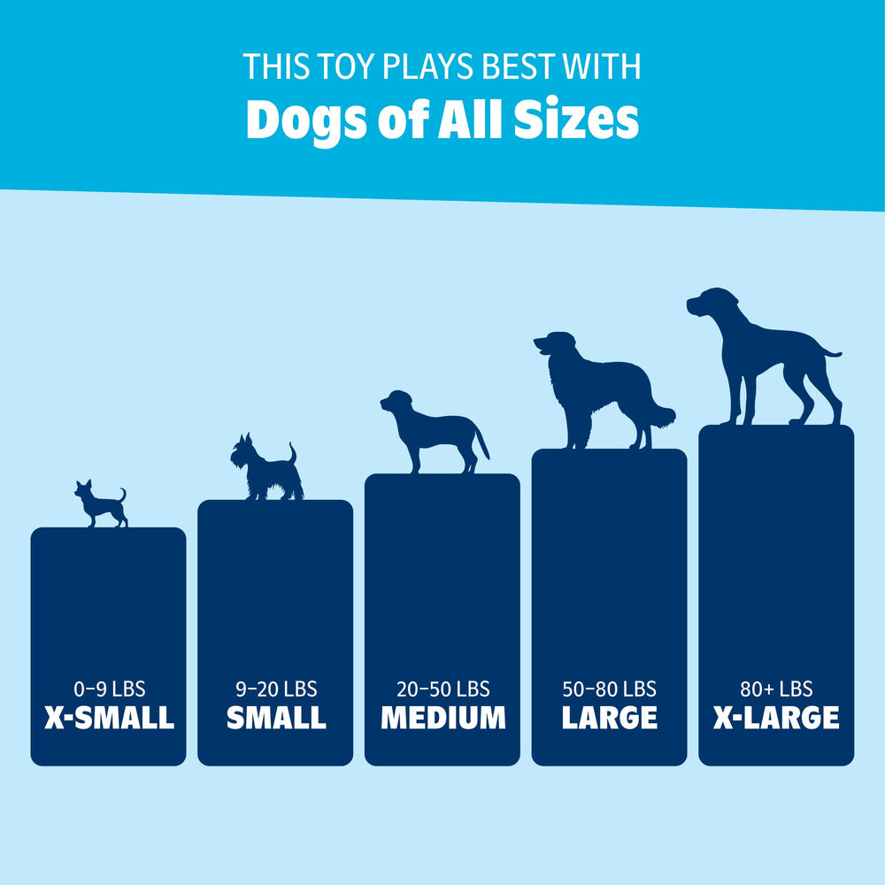 Barkbox Play Hatch: texture durable prête pour des jeux répétés.
