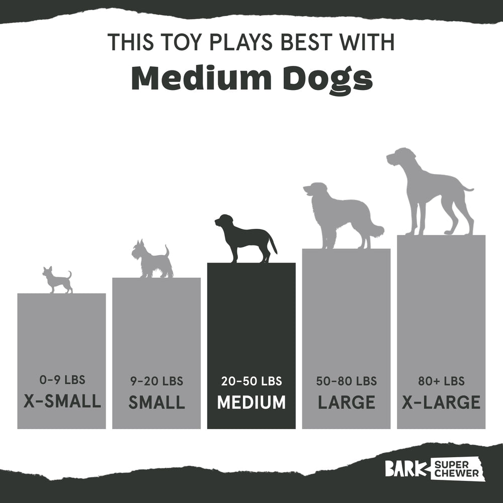Sans BPA et lavable au lave-vaisselle, BarkBox Pork Chomp pratique.
