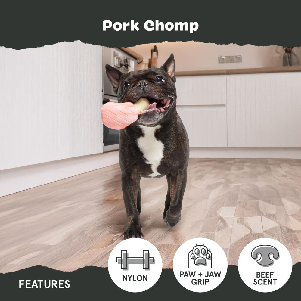 Odeur bacon du Pork Chomp attire le chien vers le jouet.