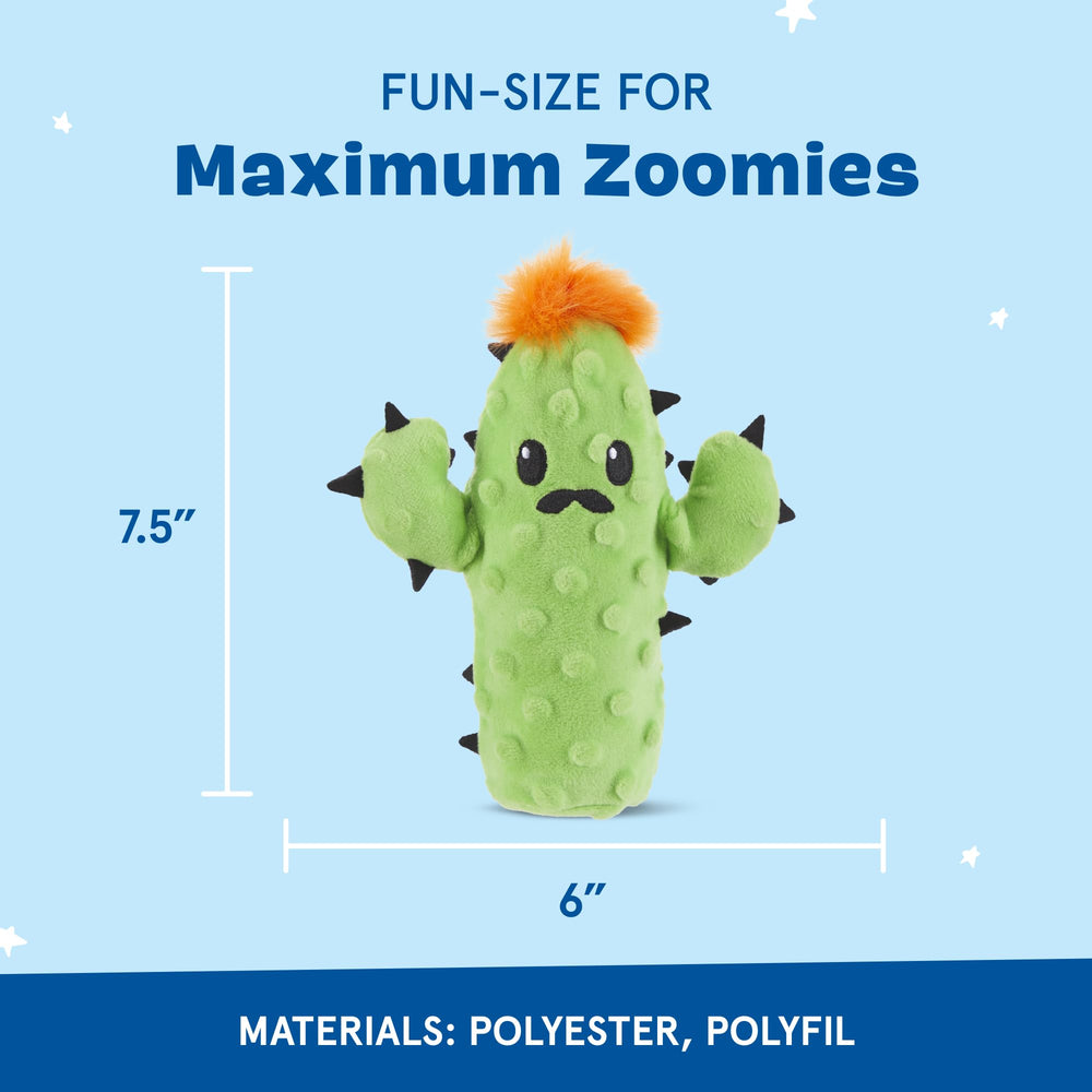 BarkBox Prickly Pete balle épine squeaker, stimule l’attention avec un son amusant.