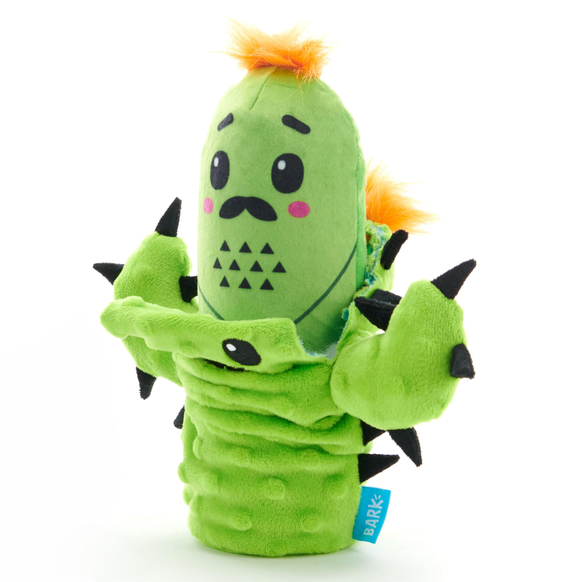 BarkBox Prickly Pete, jouet pluche interactif pour chien, stimule le jeu et la complicité.