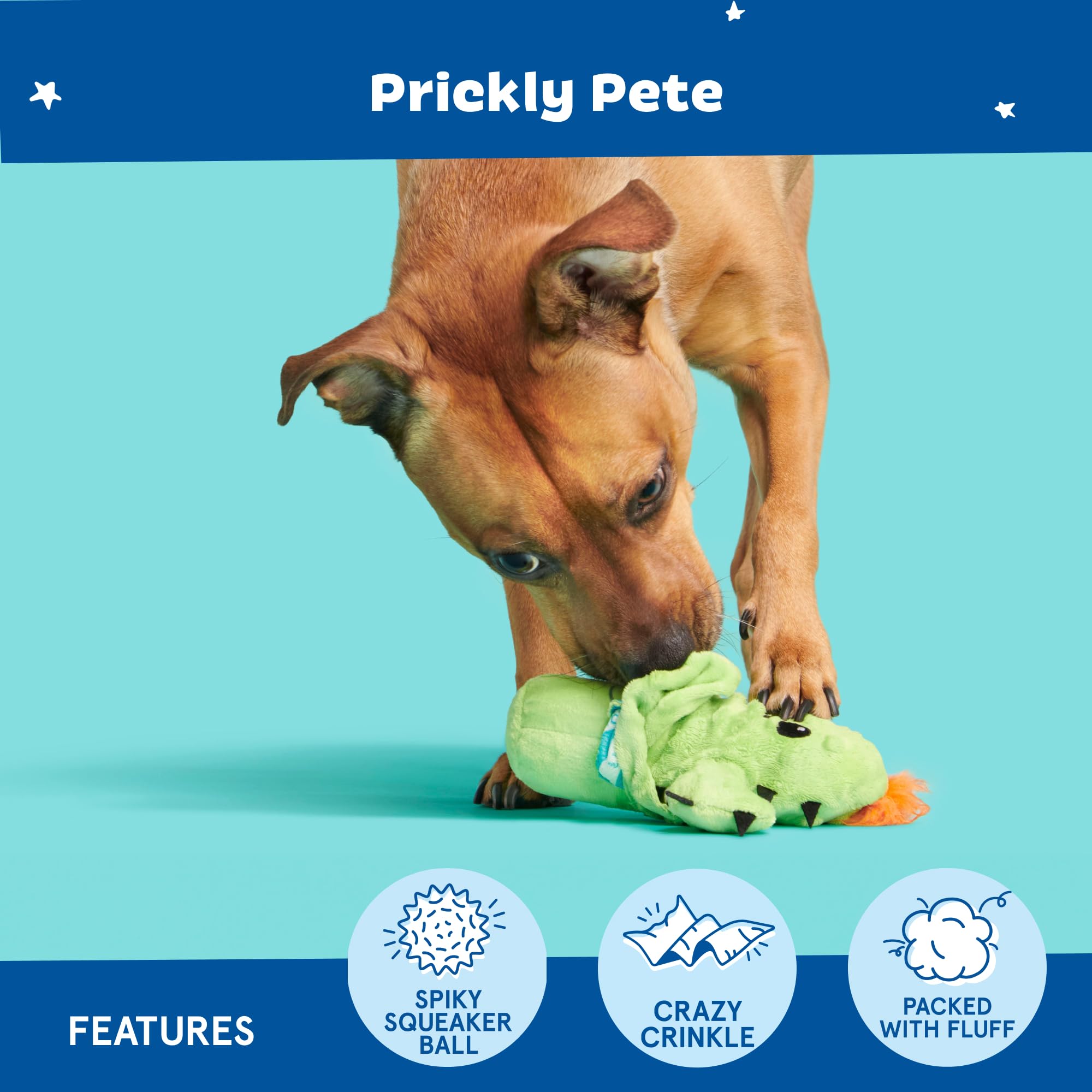 BarkBox Prickly Pete textures crinkle intérieur, offre une expérience sensorielle variée.
