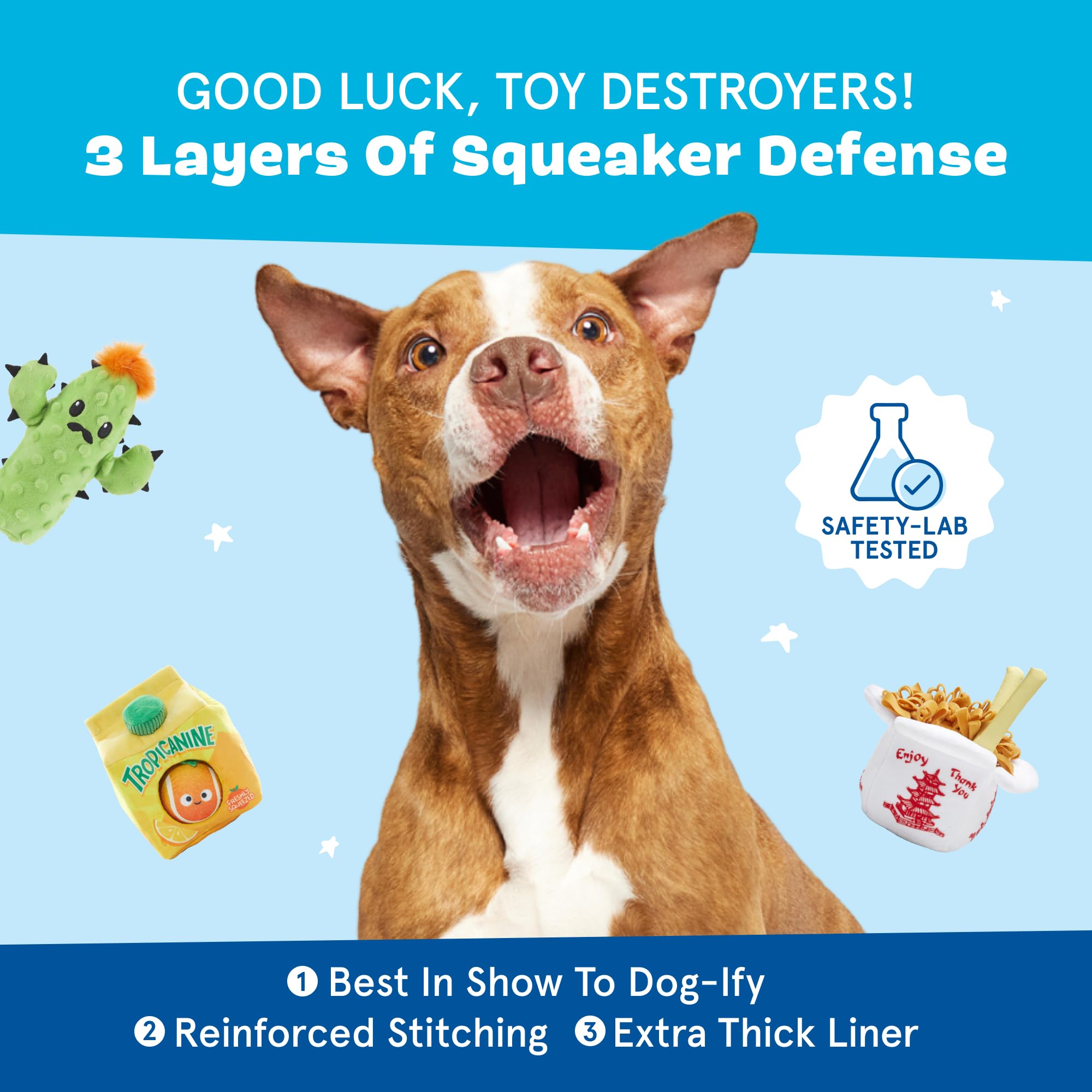 BarkBox Prickly Pete usage intérieur et extérieur, compagnon polyvalent pour chiens actifs.