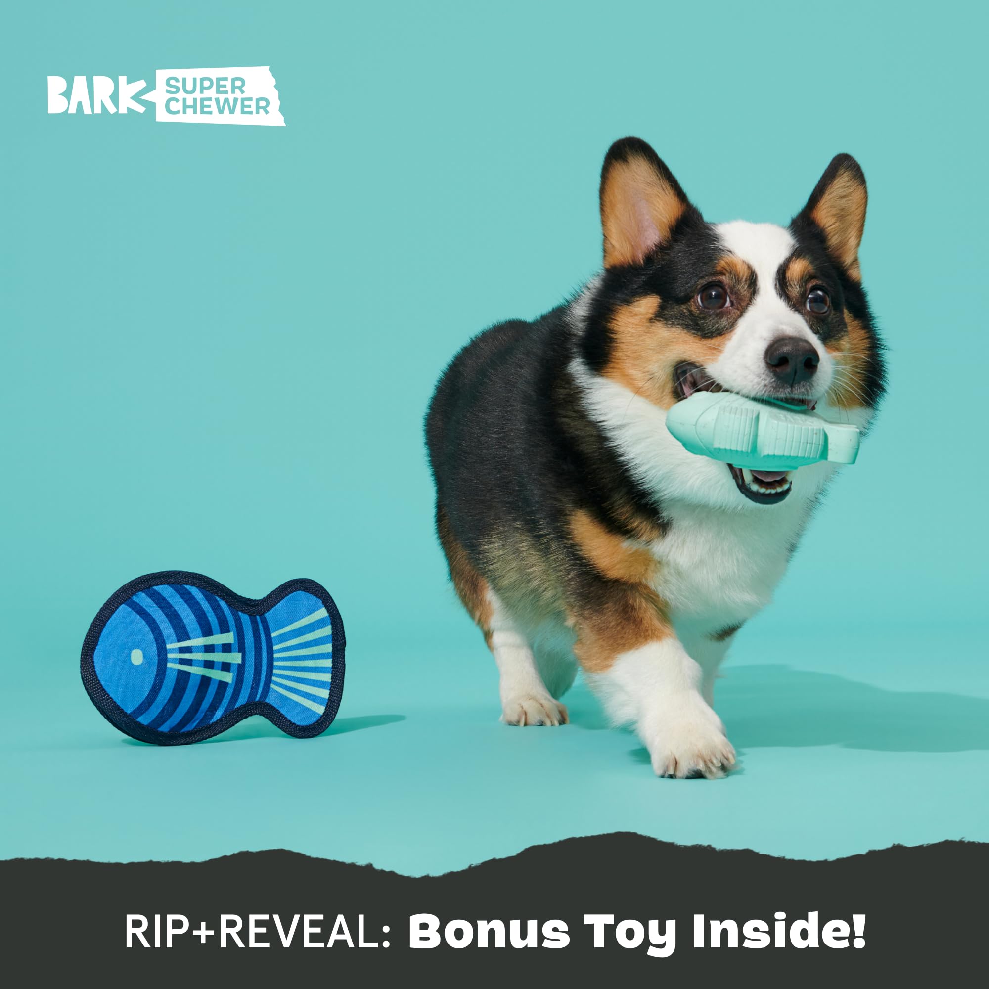BarkBox Rad Herring : enrichissement intérieur et extérieur pour stimulation.