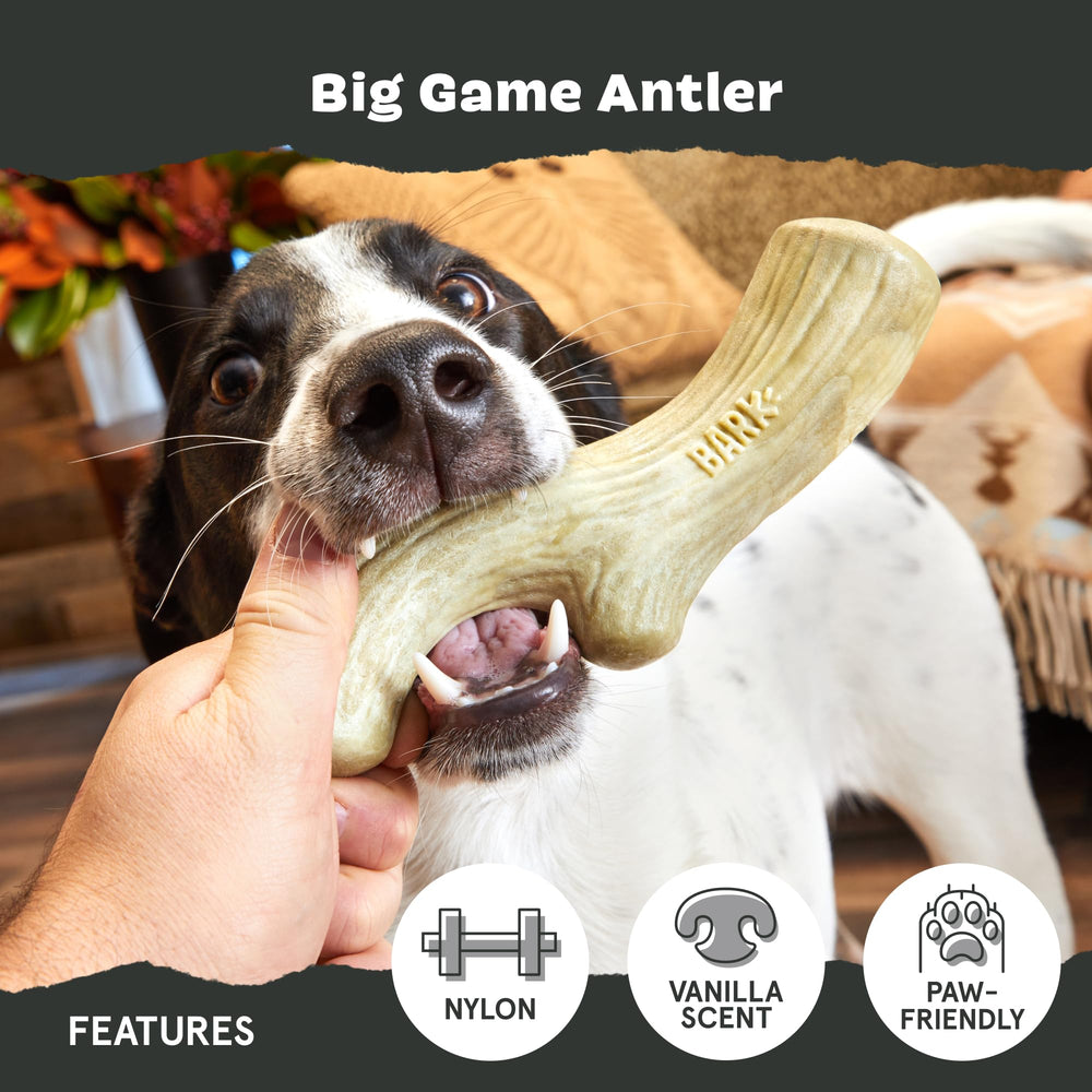 BarkBox sans corde et sans rembourrage, nettoyage facilité après le jeu.