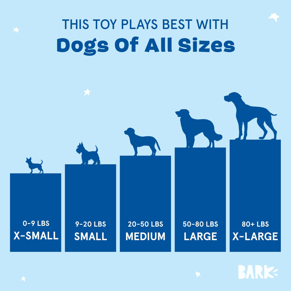 BarkBox Sasquatch Josh - jouet interactif idéal pour fetch et tir à la corde