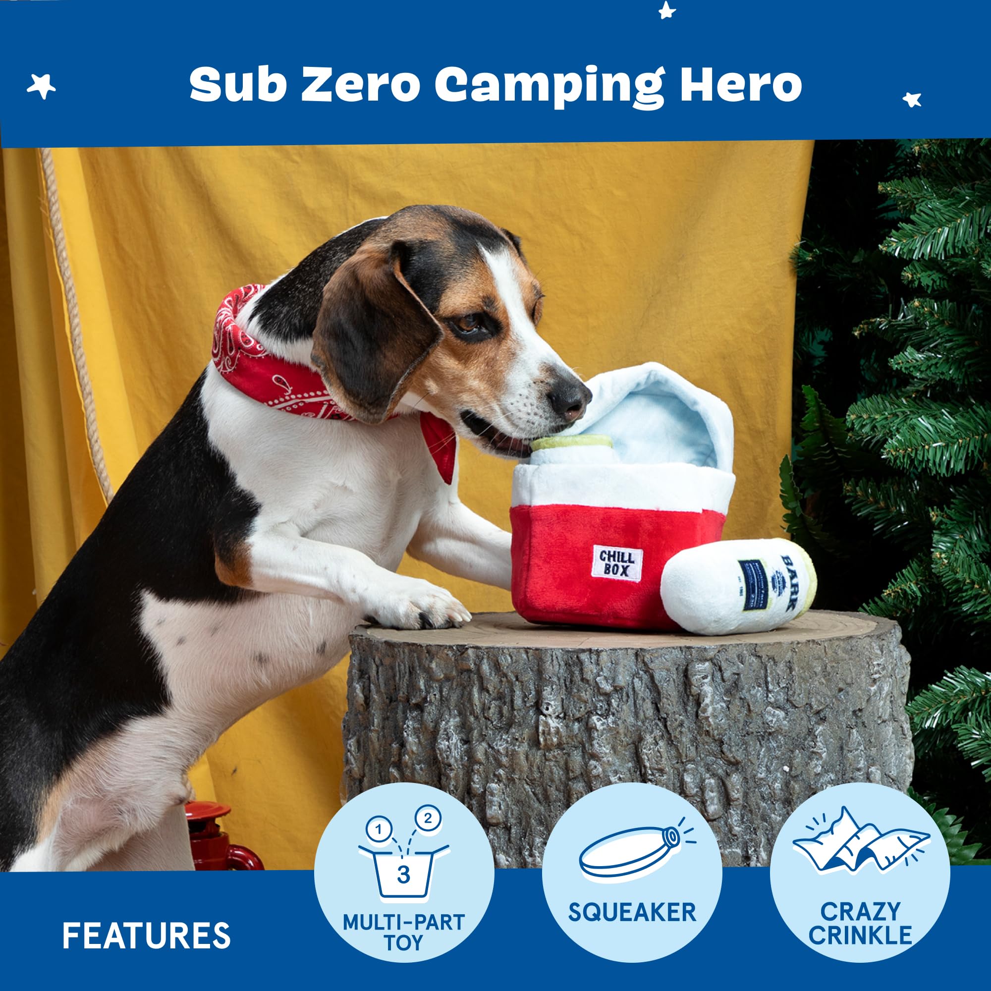 BarkBox Sub Zero Camping Hero : traitements et surprises cachés dans le refroidisseur.