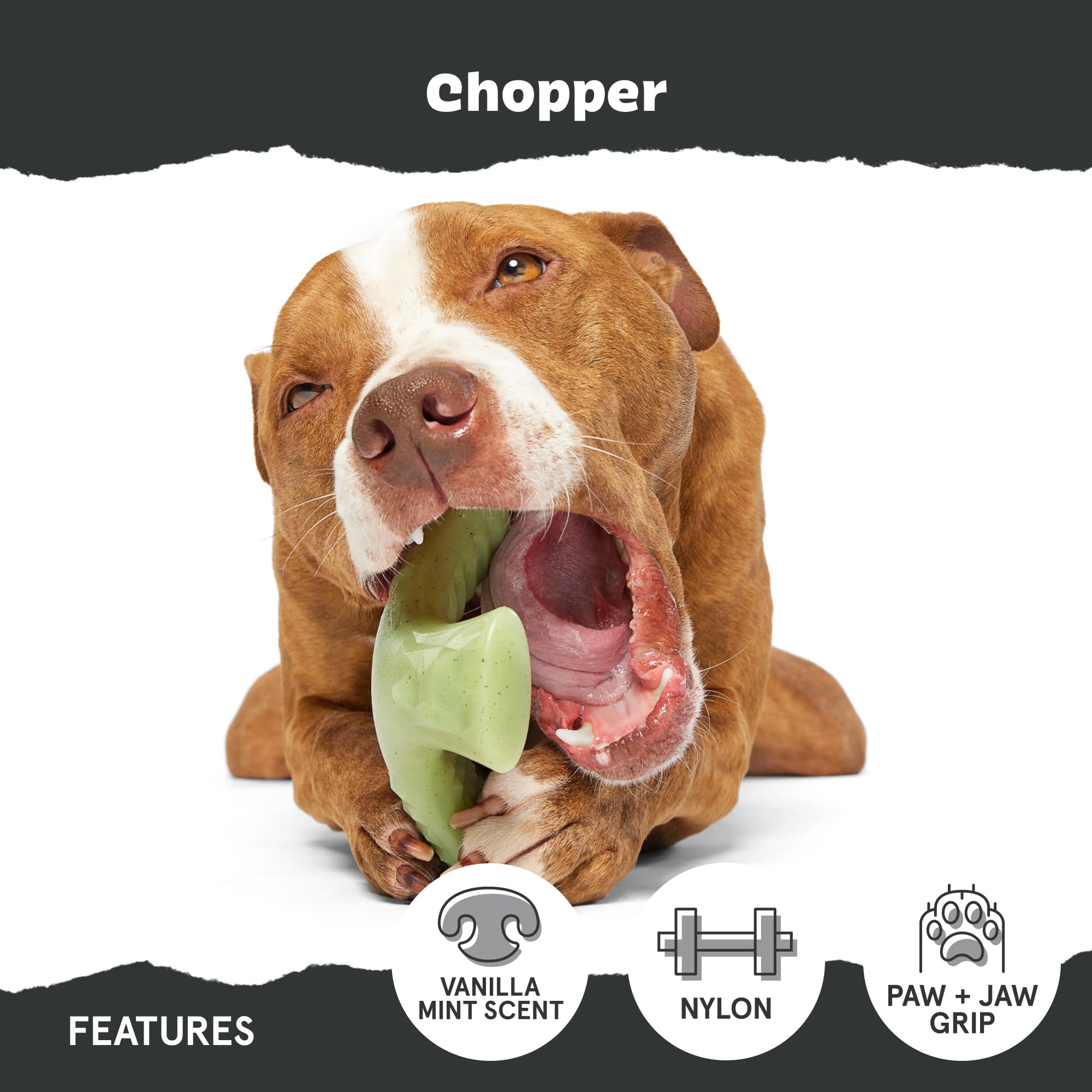 BarkBox Super Chewer – conception sans corde ni bourrage, nettoyage facilité.