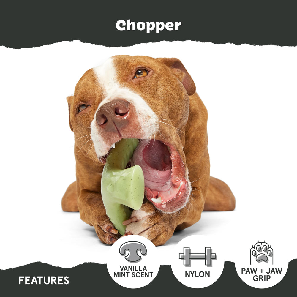 BarkBox Super Chewer – conception sans corde ni bourrage, nettoyage facilité.