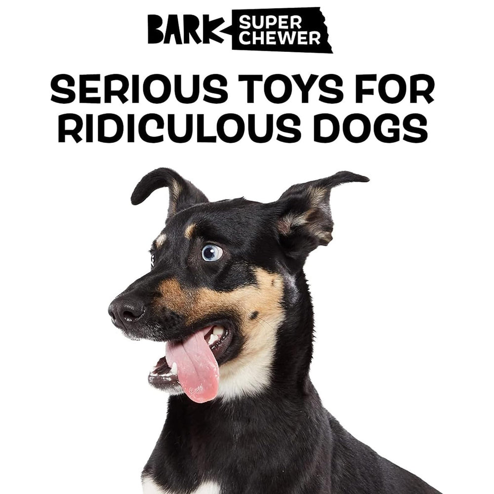 Panda BarkBox: conception à double couche pour stimulation mentale et physique.