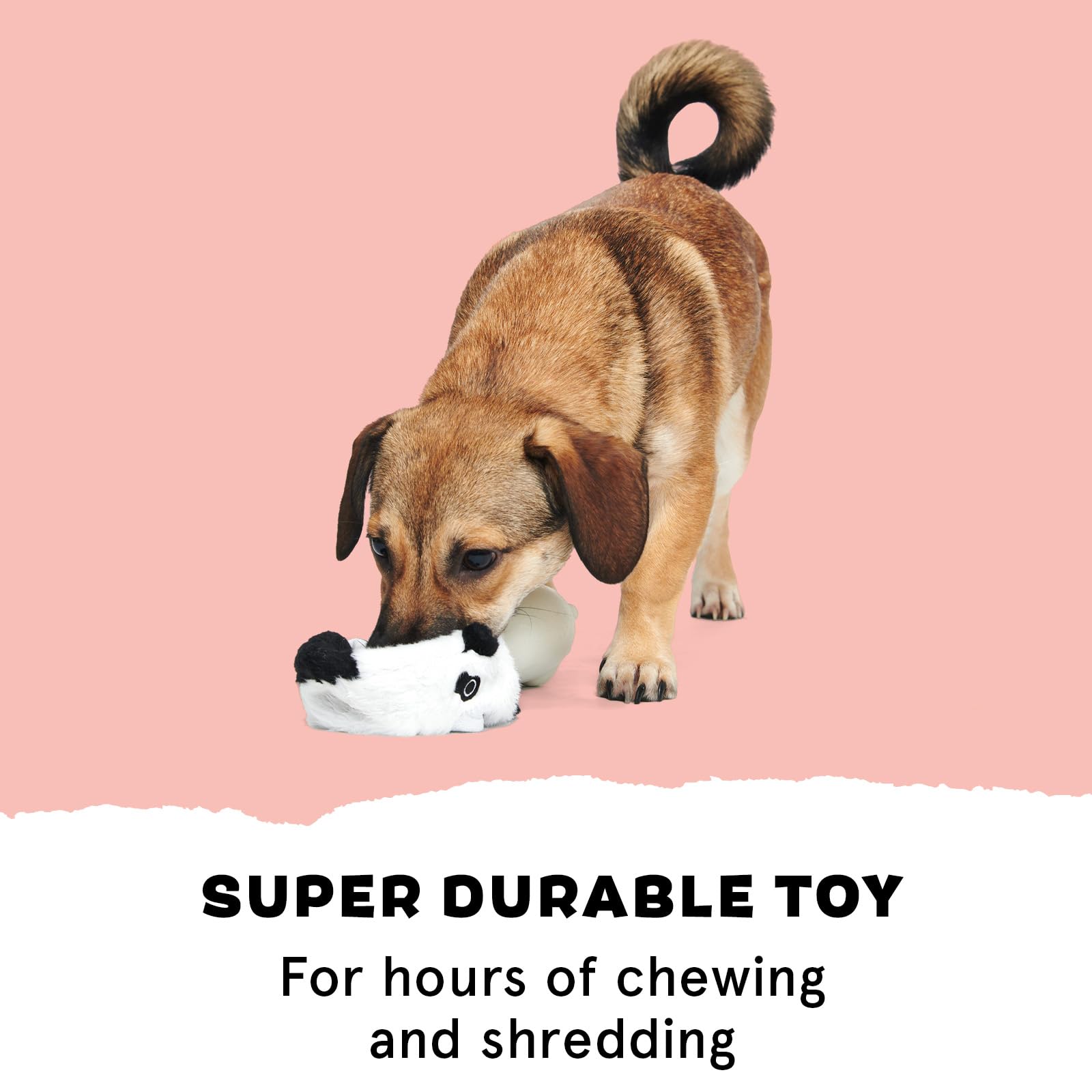Panda BarkBox, peluche extérieure attrayante, ravit les chiens friands de déchirure.
