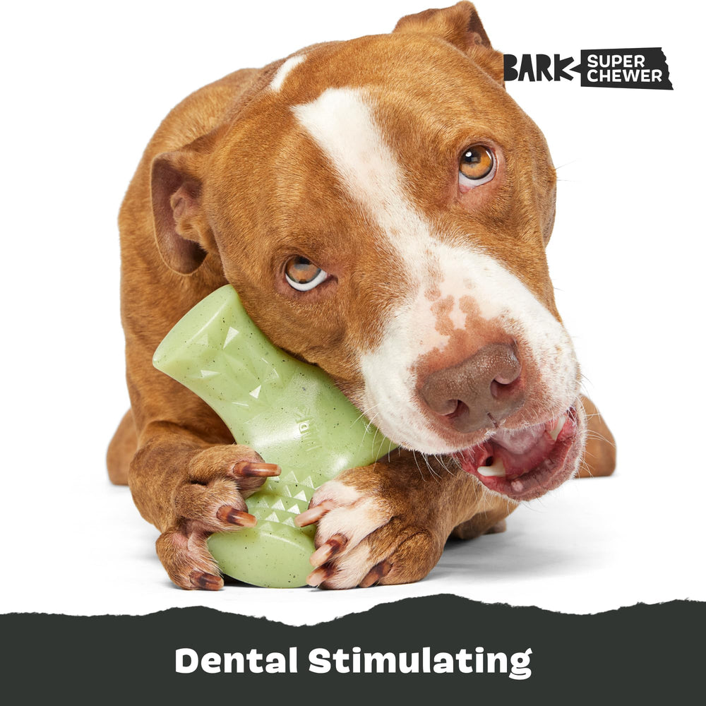 BarkBox Super Chewer – adapté à tous les âges, chiot au chien mature.