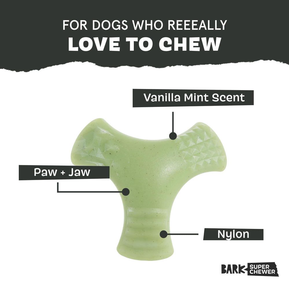 BarkBox Super Chewer – parfum menthe, soutien à l’entretien dentaire en jeu.