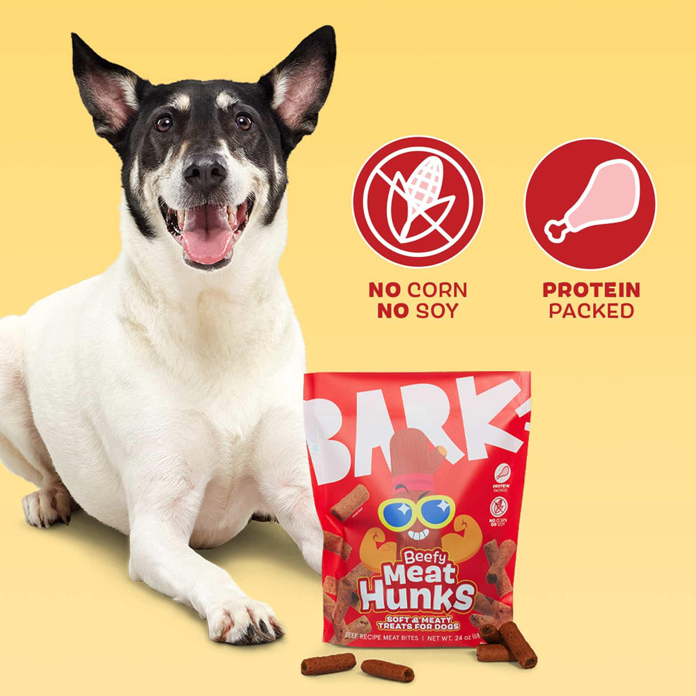 Texture molle Barkbox idéale pour chiens qui aiment mâcher.
