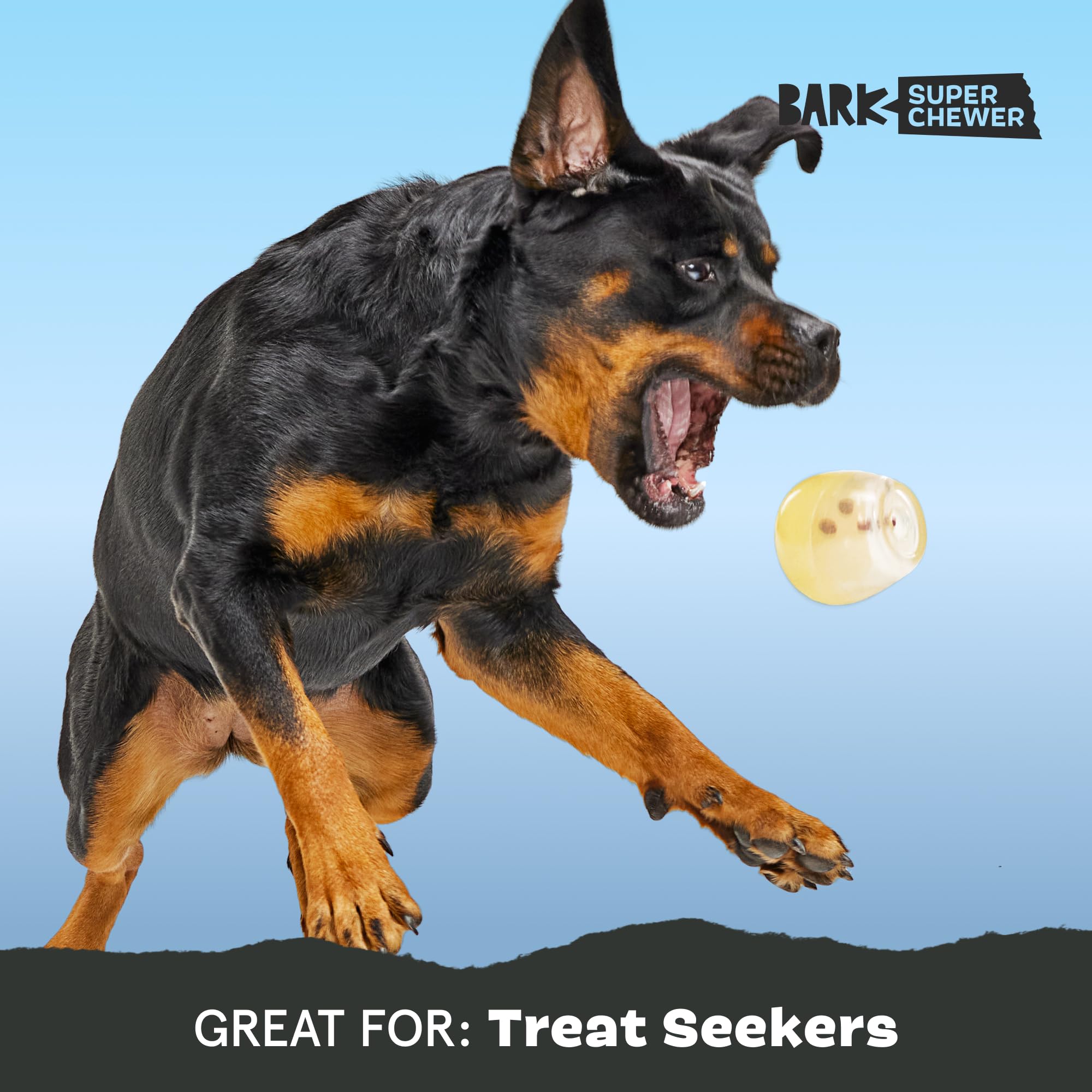 BarkBox Tipsy Toast - jeu adapté pour chiens moyens à grands