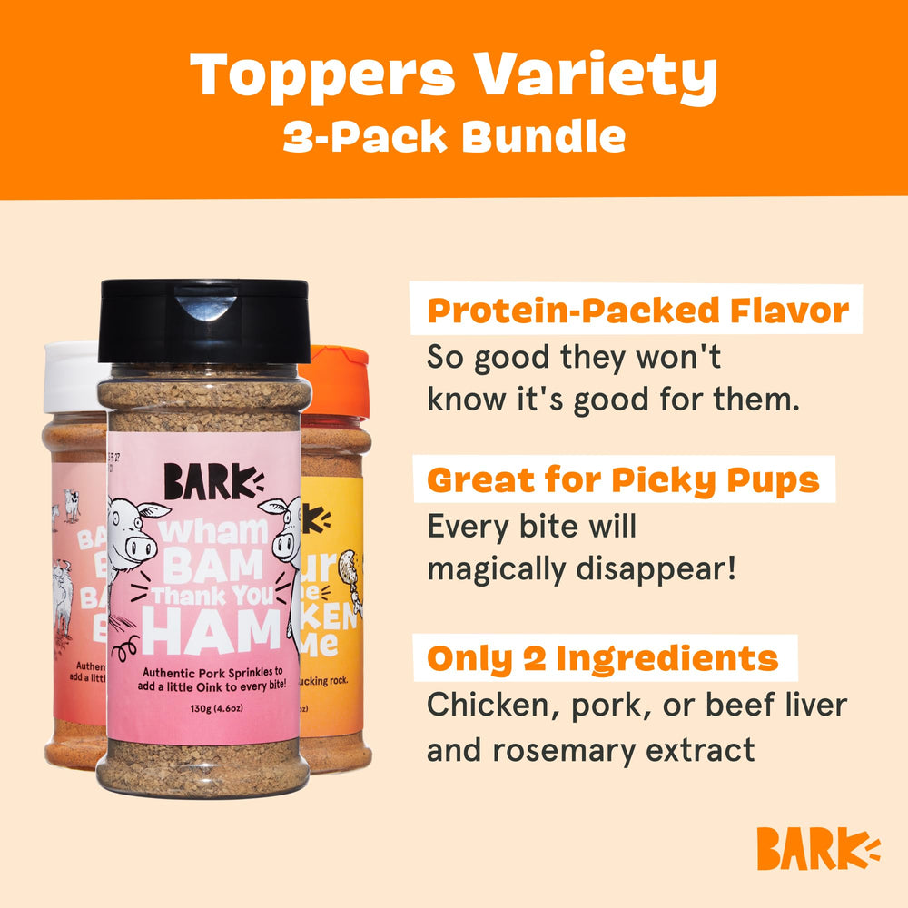 Chien heureux après Barkbox Topper, satisfaction culinaire et repas stimulé.