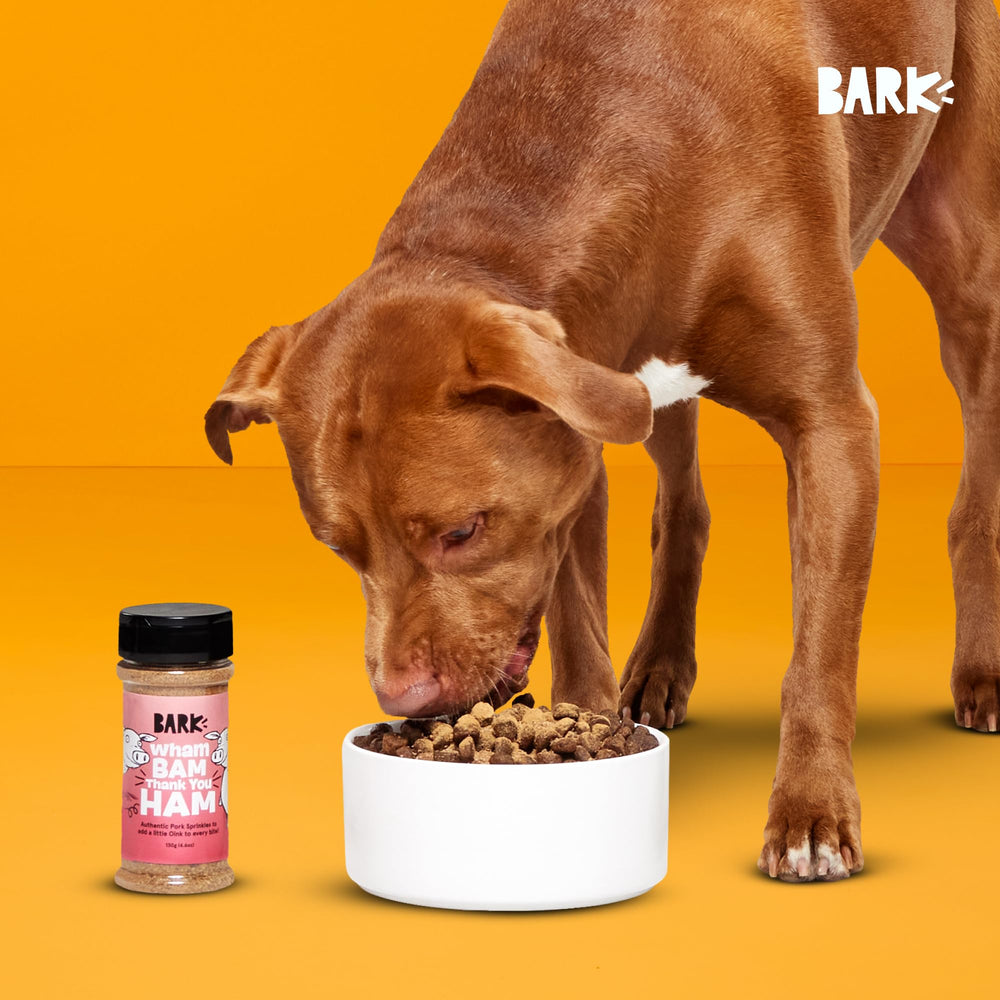Porc BarkBox sur nourriture sèche, enrichissant sans changer le régime