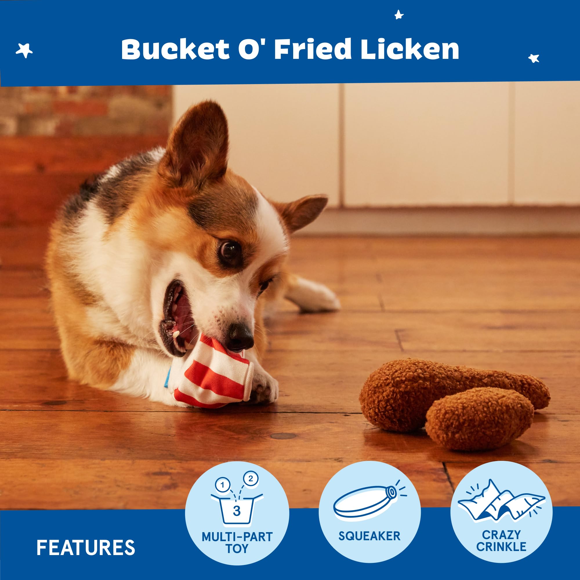 BarkBox usage intérieur et extérieur, enrichissement sensoriel pour chien.