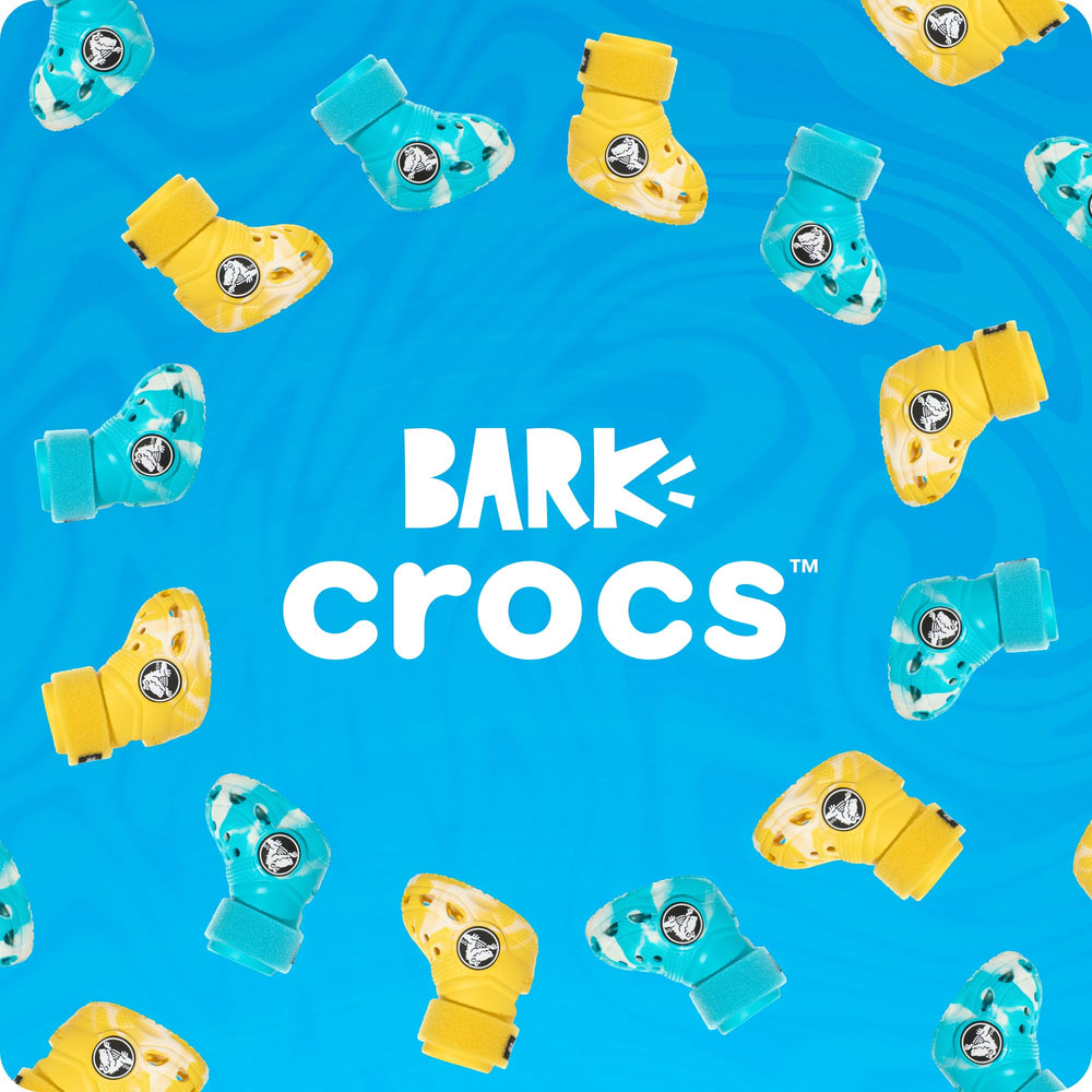 BarkBox utilisation quotidienne en extérieur pour chiens de taille moyenne.