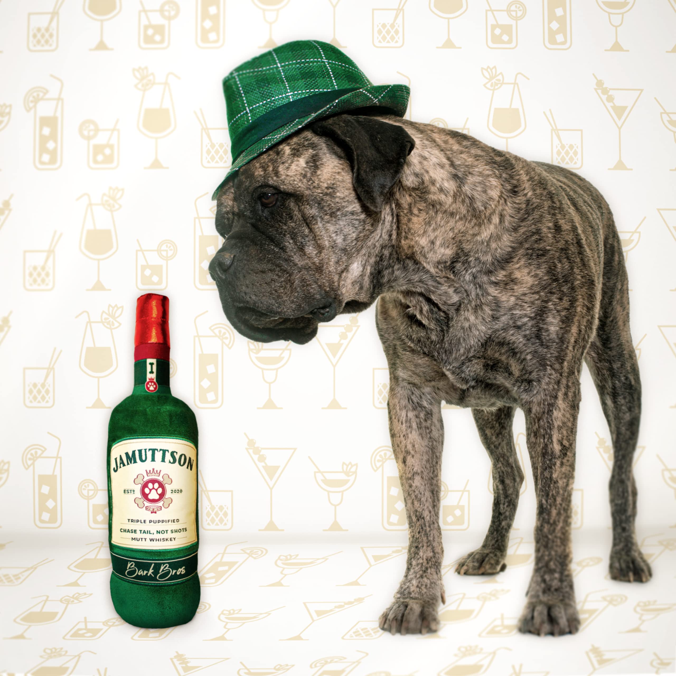 Cadeau-anniversaire Bark Bros pour chiot, peluche parfaite pour surprendre.