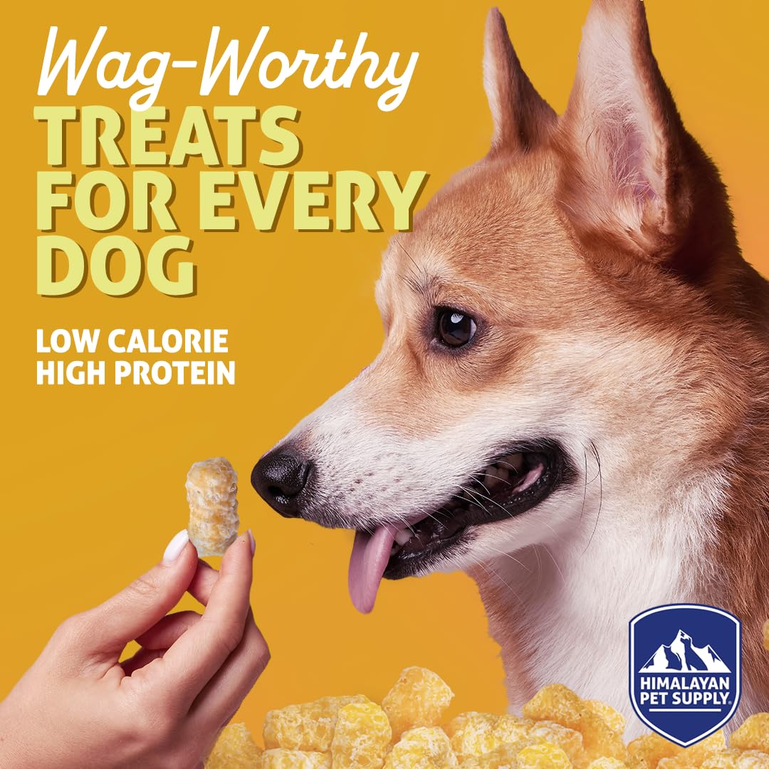 Barkeetos bacon-proteine-croquant – saveur gourmande et énergie pour chiens actifs