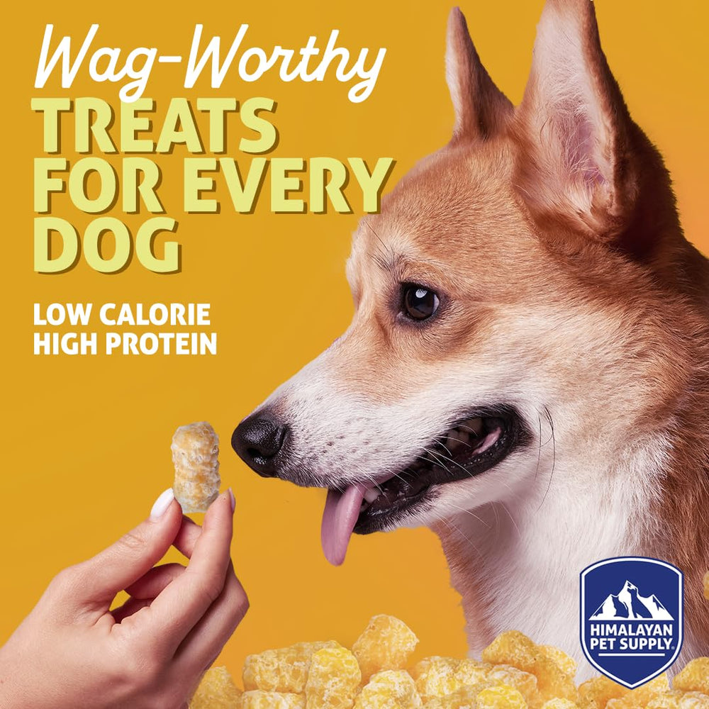 Barkeetos bacon-proteine-croquant – saveur gourmande et énergie pour chiens actifs