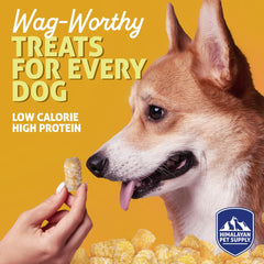 Barkeetos bacon-proteine-croquant – saveur gourmande et énergie pour chiens actifs