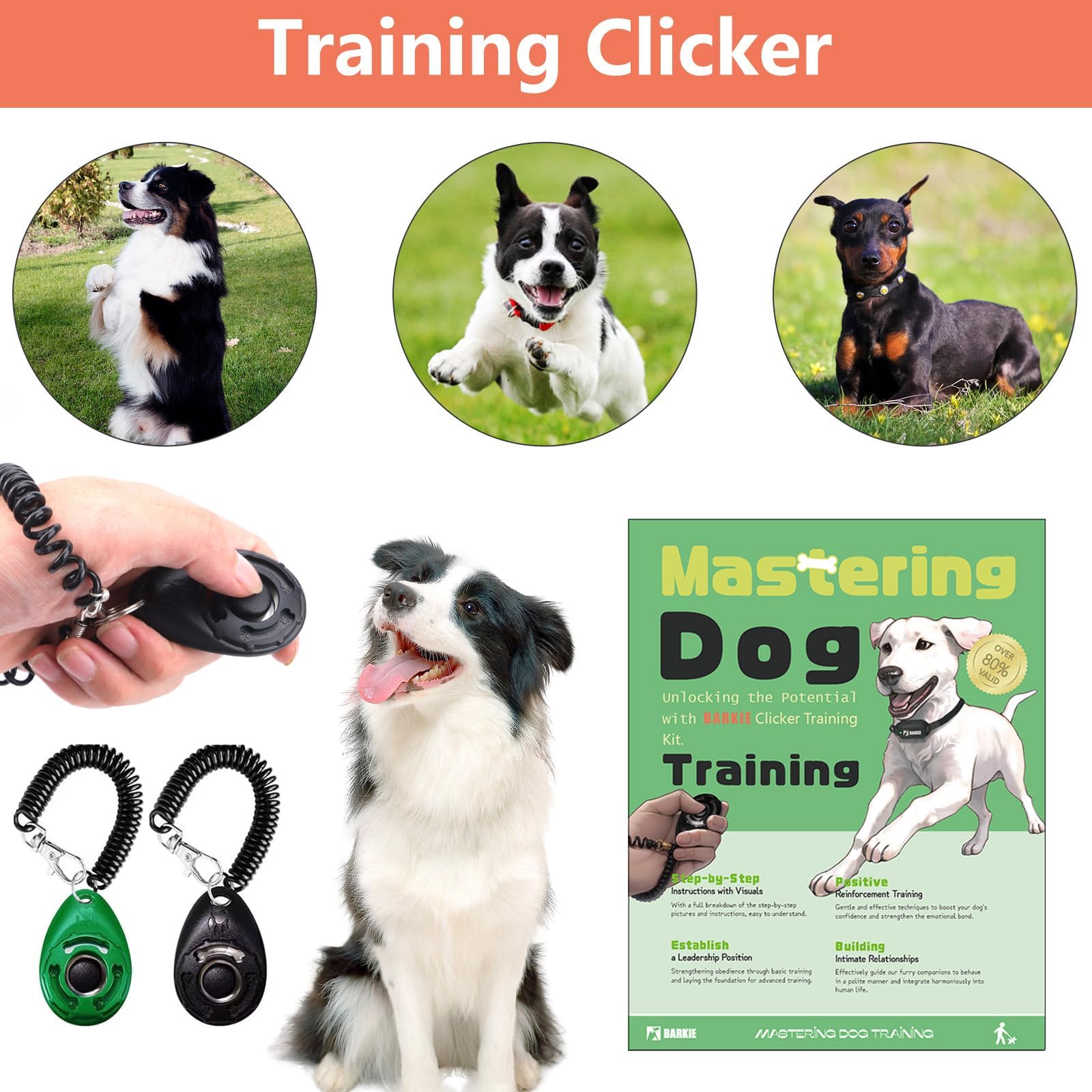 Sifflet ultrasonique Barkie ajustable pour signal clair et discret.