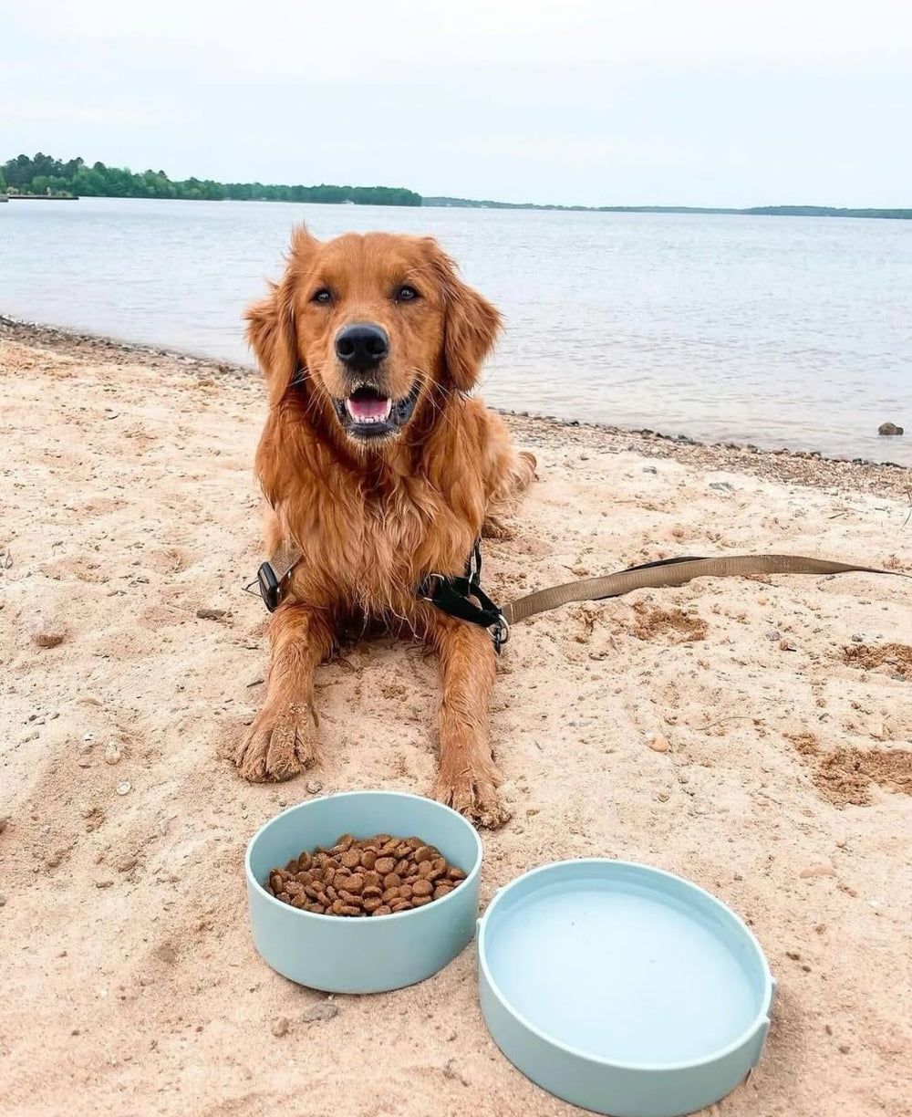 Barkin' Trails bols couleur blush et bleu glacé, style voyage.