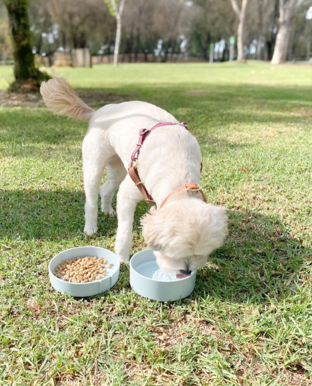 Barkin' Trails bols lavables au lave-vaisselle pour un nettoyage facile.