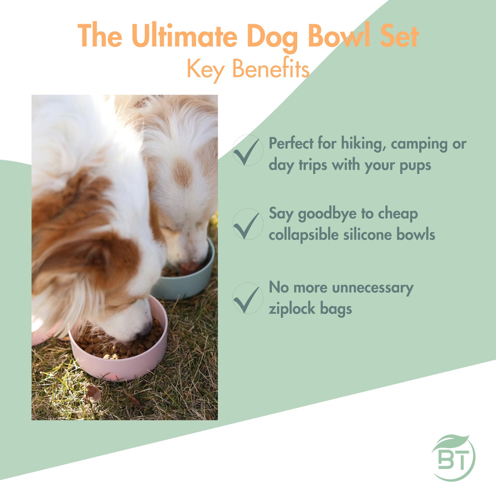 Barkin' Trails ensemble de bols chien compact.