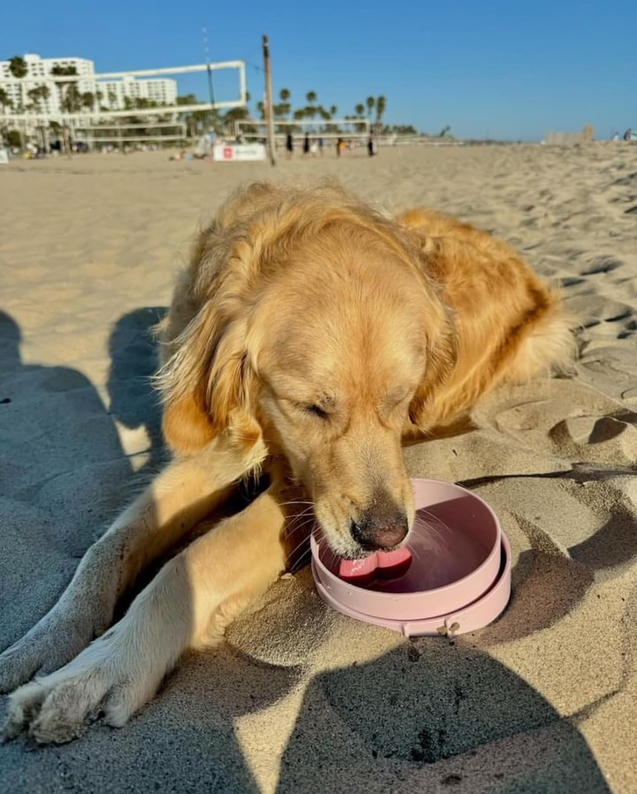 Barkin' Trails: sangle de maintien réunissant les bols pour un rangement compact.