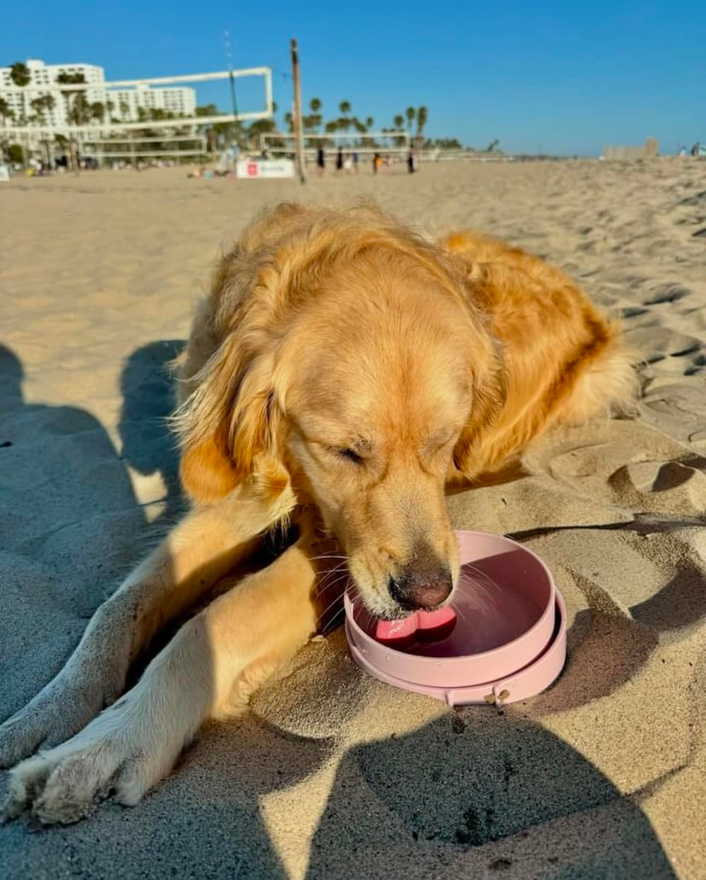 Barkin' Trails: sangle de maintien réunissant les bols pour un rangement compact.