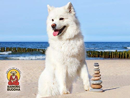 Cuisson lente Barking Buddha protège la couleur et la saveur naturelle.