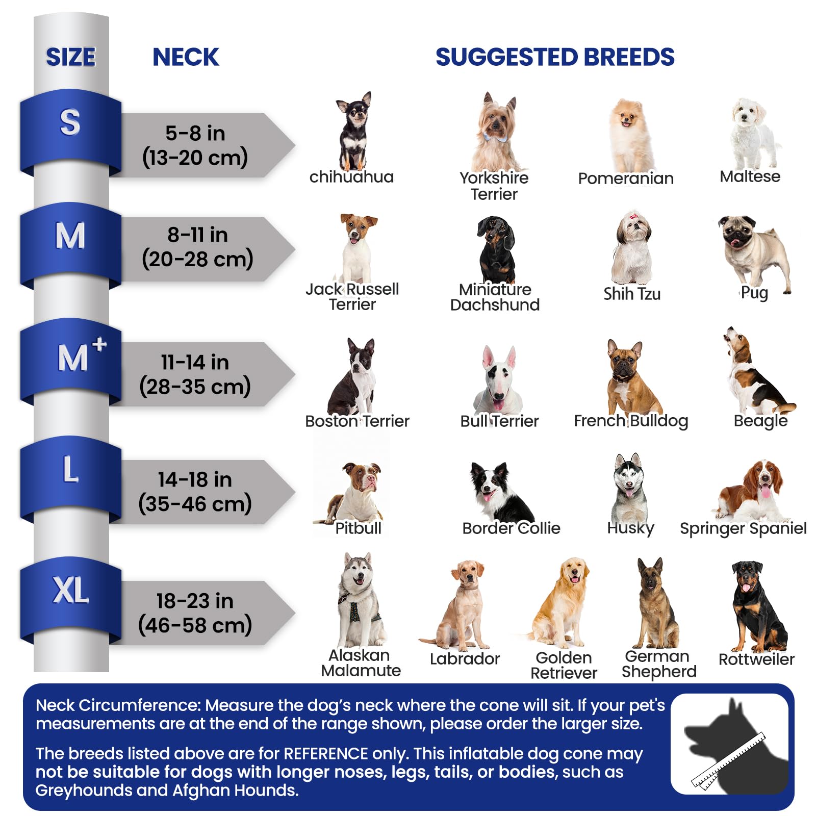BARKLESS design léger et sûr, vision dégagée pour le chien.